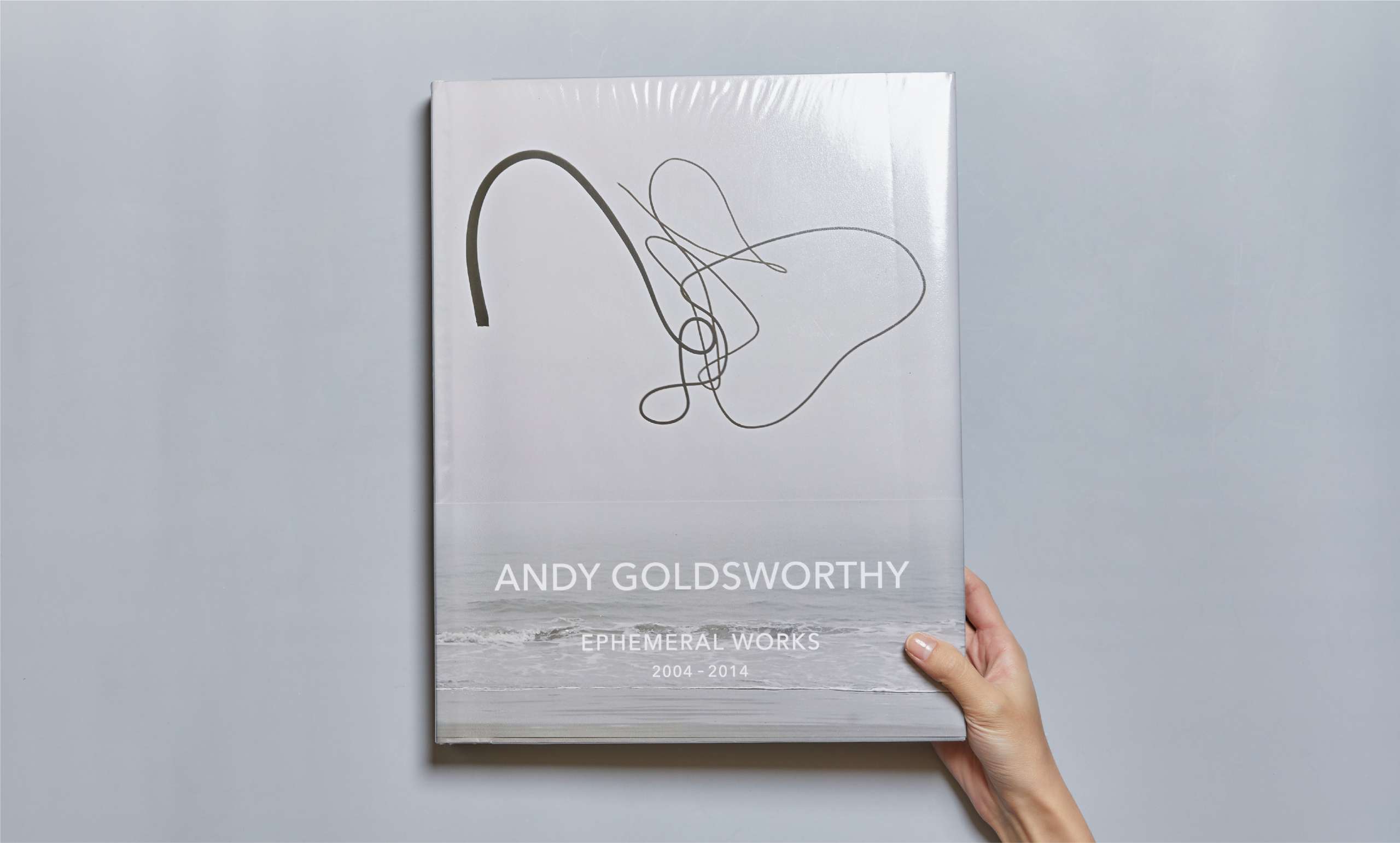 andy goldworthy 1