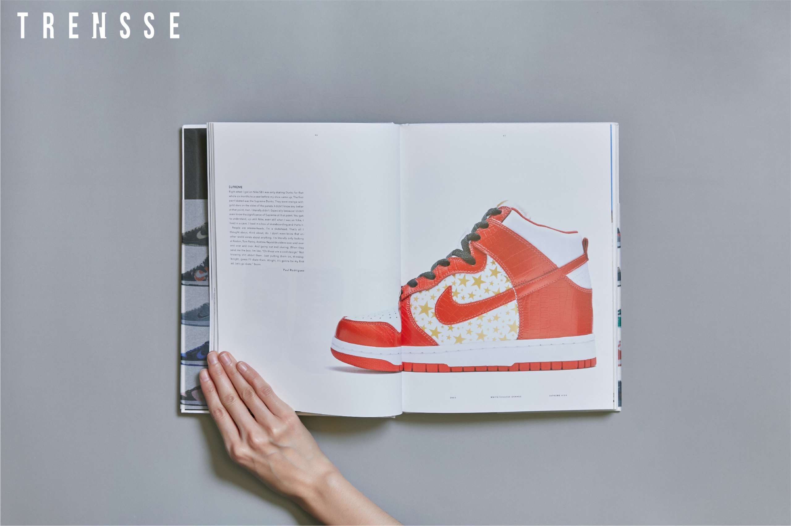 Livre Nike Sb The Dunk Book