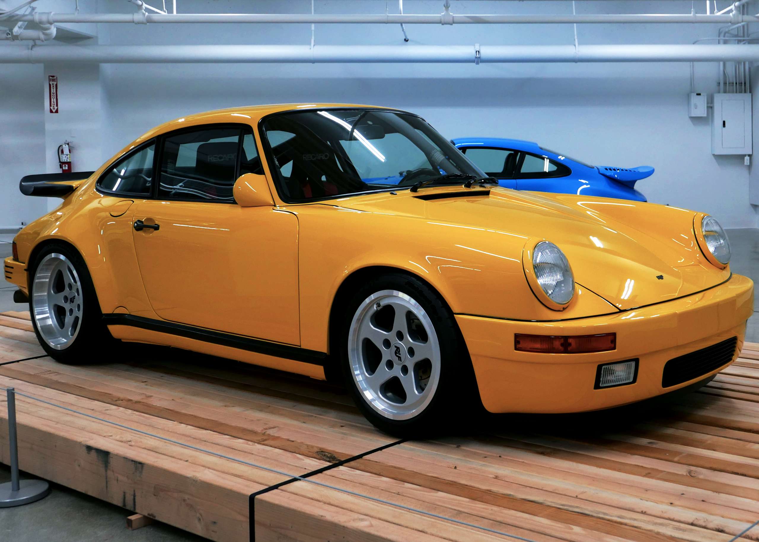 RUF YLW bird