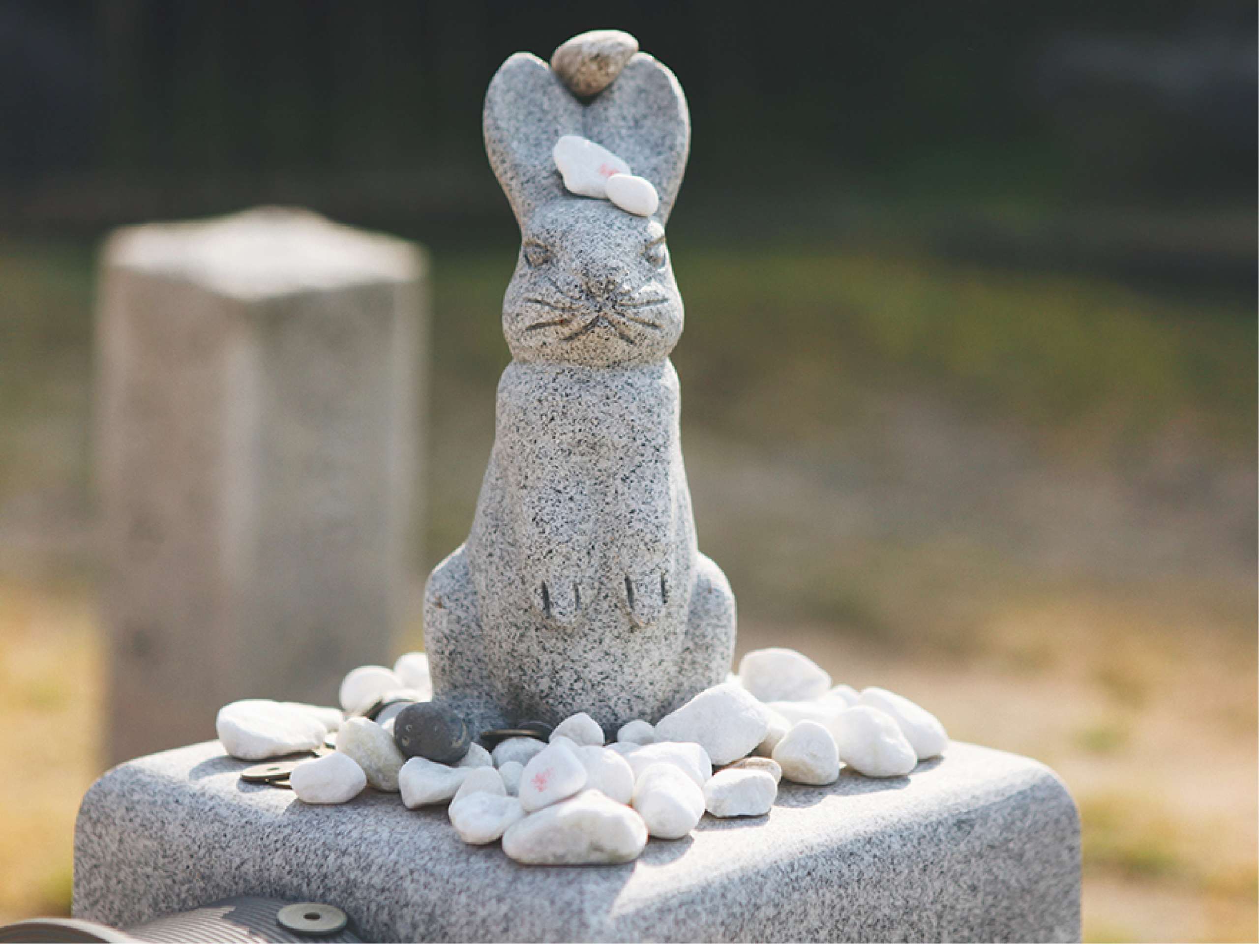 (白兔神社的周遭石雕皆為兔子形象。)