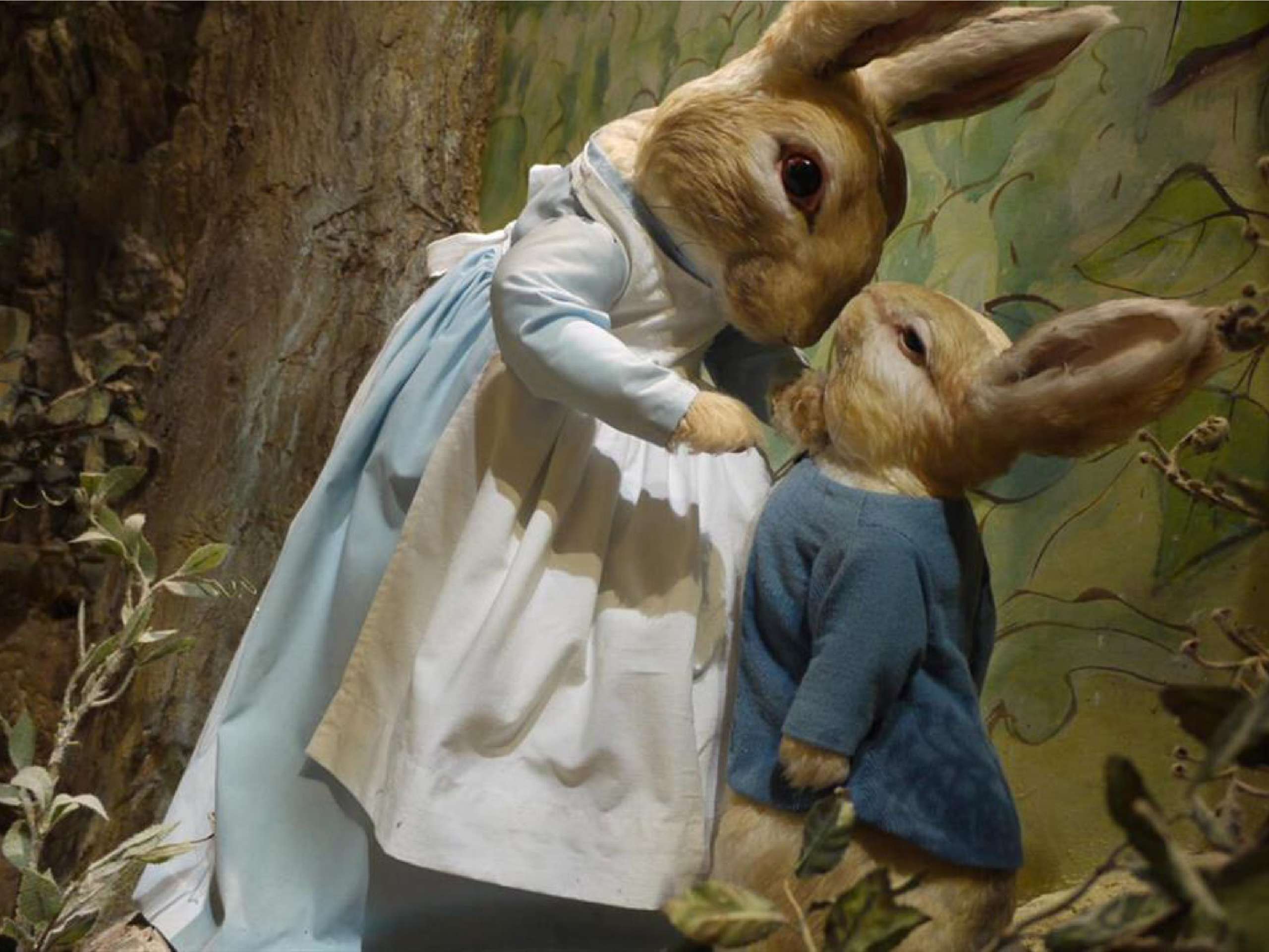 （繪本《 The Tale of Peter Rabbit 》以彼得兔為主角，擬人化呈現故事。）