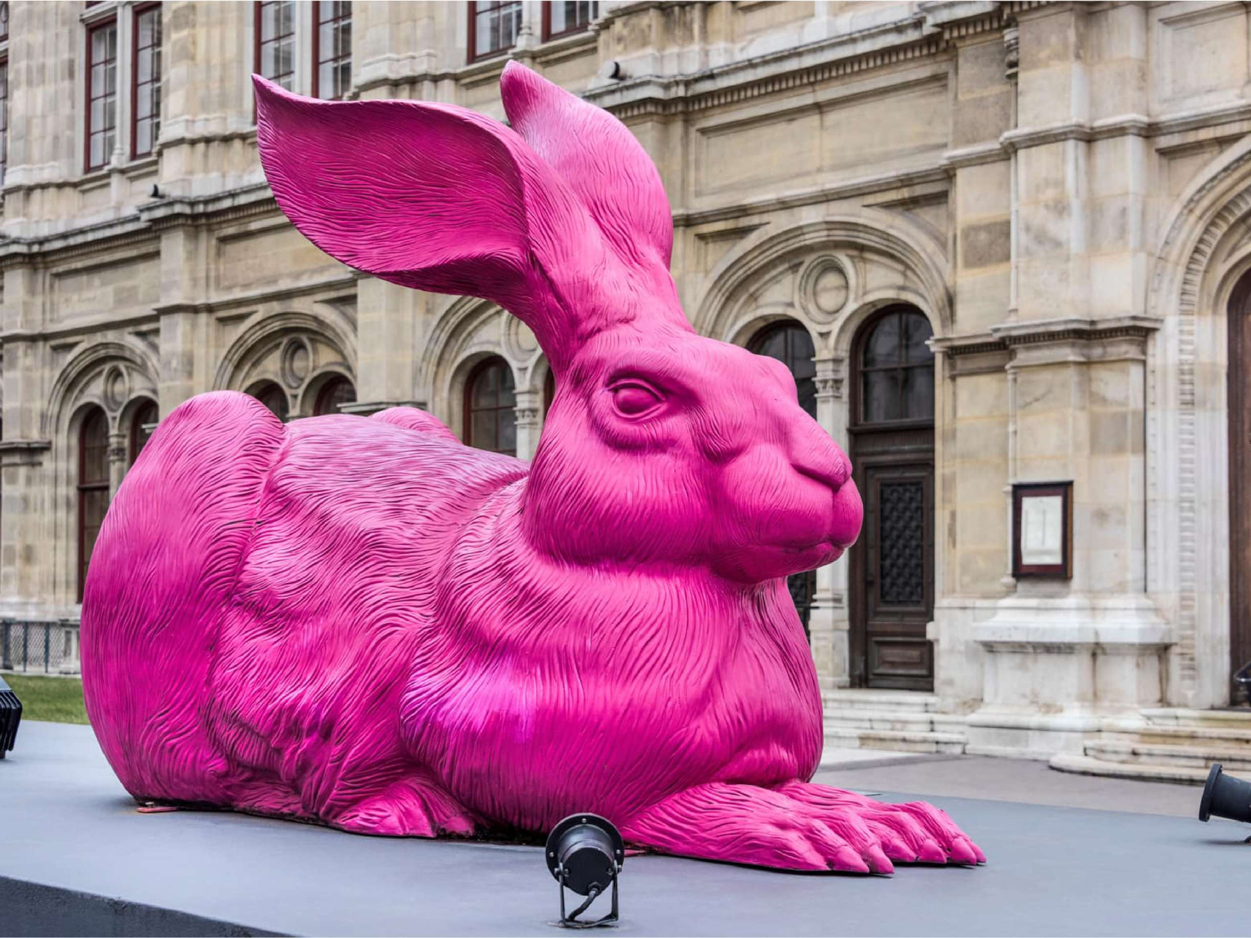 （ Dürer-Hare for the Albertina, Ottmar Hörl,  2014 ）