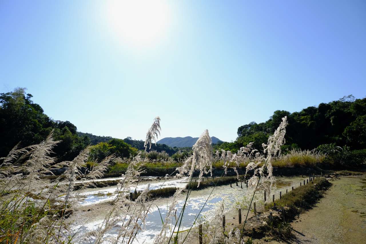 (鹽田梓最早於 18 世紀已有居民以曬鹽維生。)