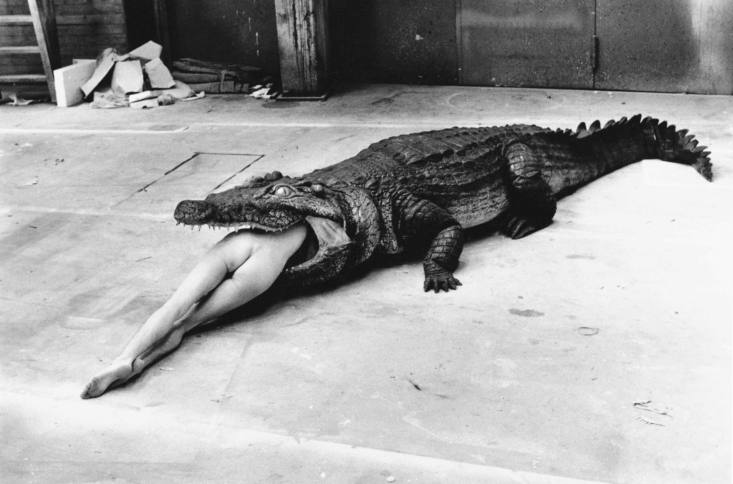 HELMUT-NEWTON_004_Crocodile-Wuppertal-1983-c-Foto-Helmut-Newton-Helmut-Newton-Estate-Courtesy-Helmut-Newton-Foundation-scaled