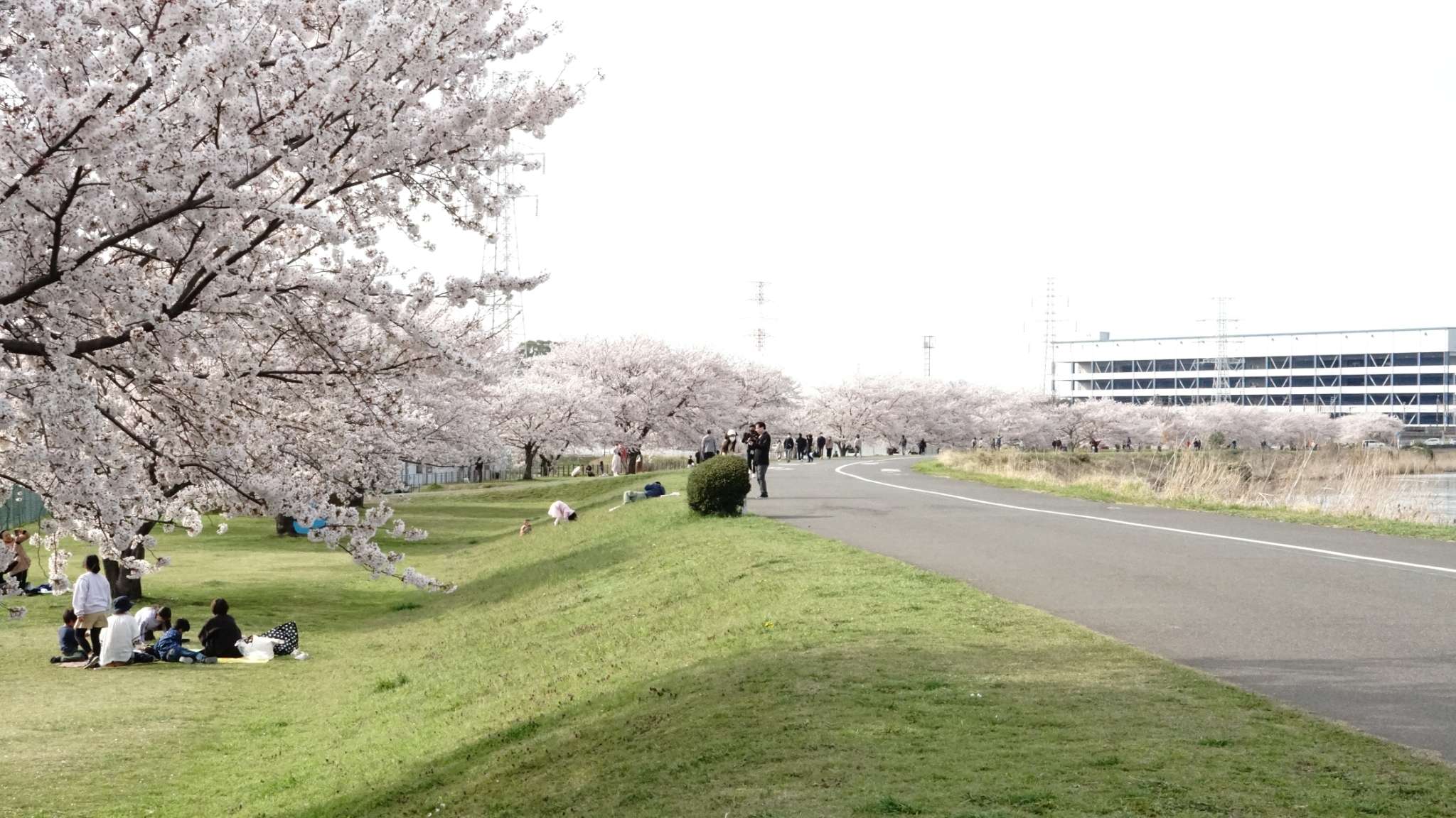 在都市叢林裡佔領綠地，讓野餐成為春日說走就走的行動