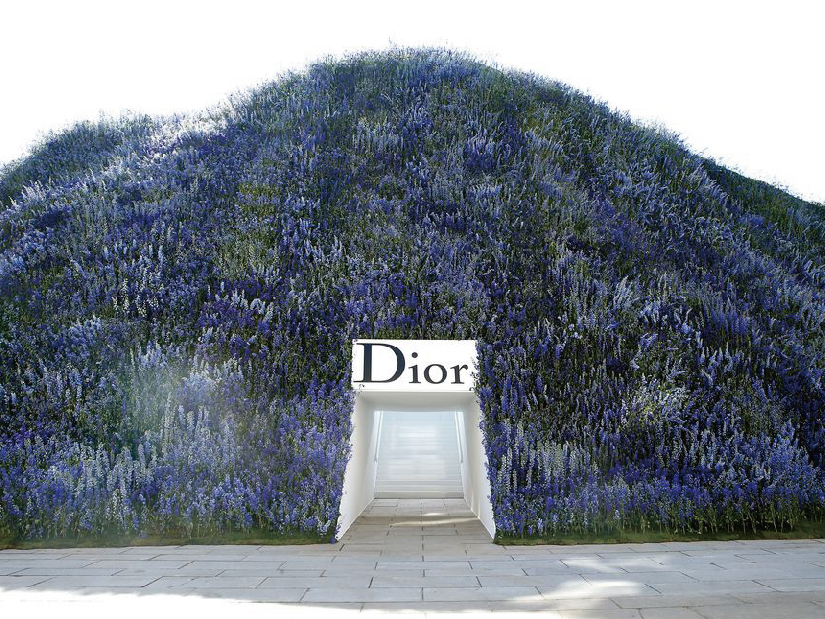 （ DIOR, Delphinium ）