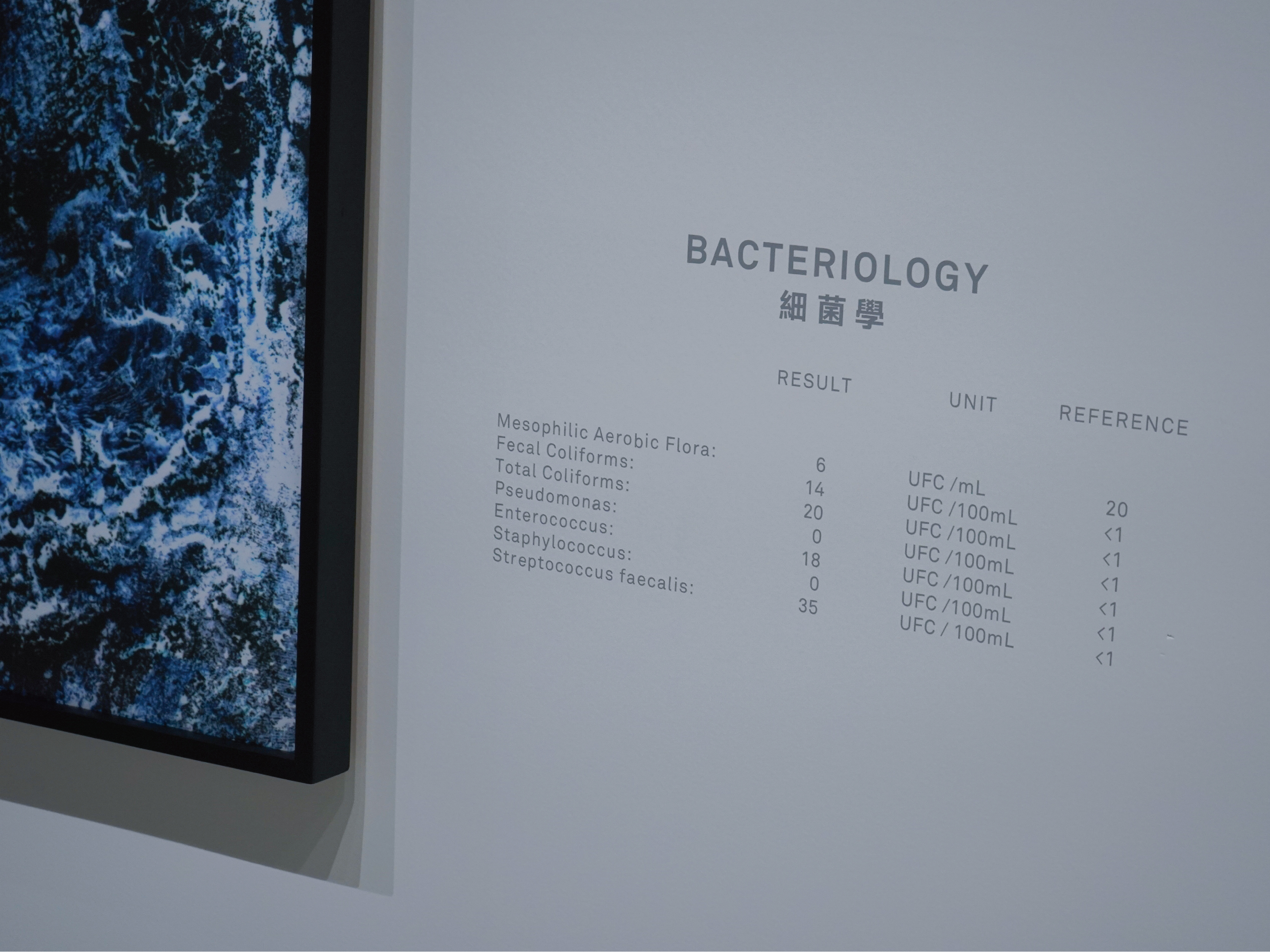 （ Lara Tabet ,十一個破碎海洋, 2020 ）