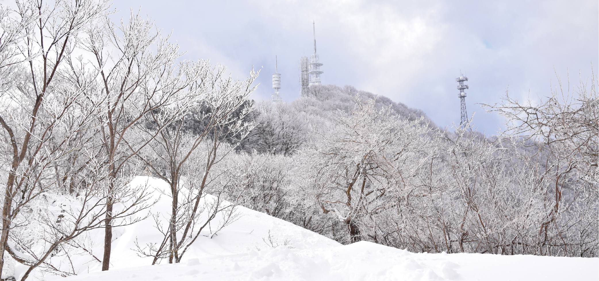 天空傳來呢喃細語，那些飄散在雪白裡的故事