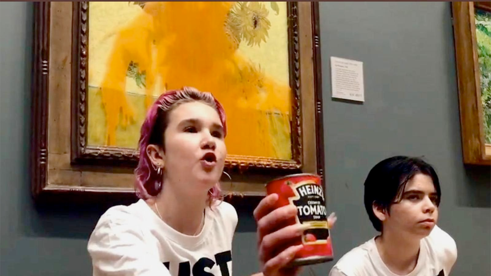just-stop-oil-museum-soup
