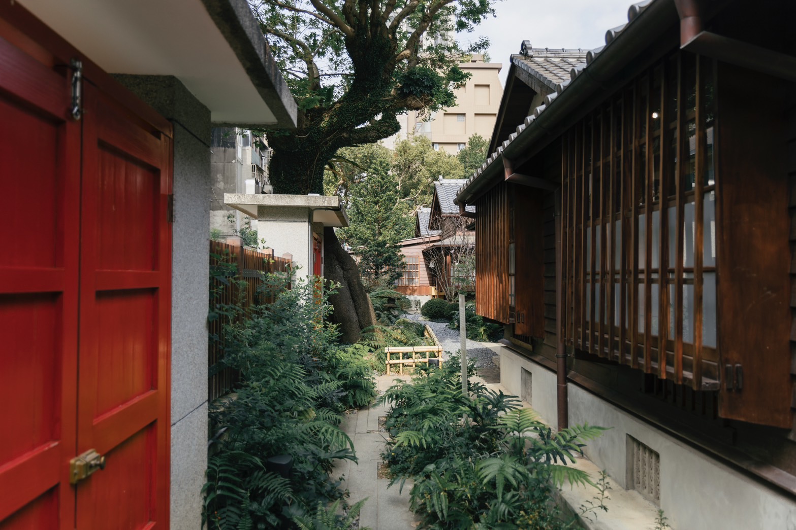 8.四大綠地之一「蒔光巷」以家庭花園為靈感，種植具經濟價值的植物，穿插復育成功的瀕危植物，形成了一個生態共生環境。