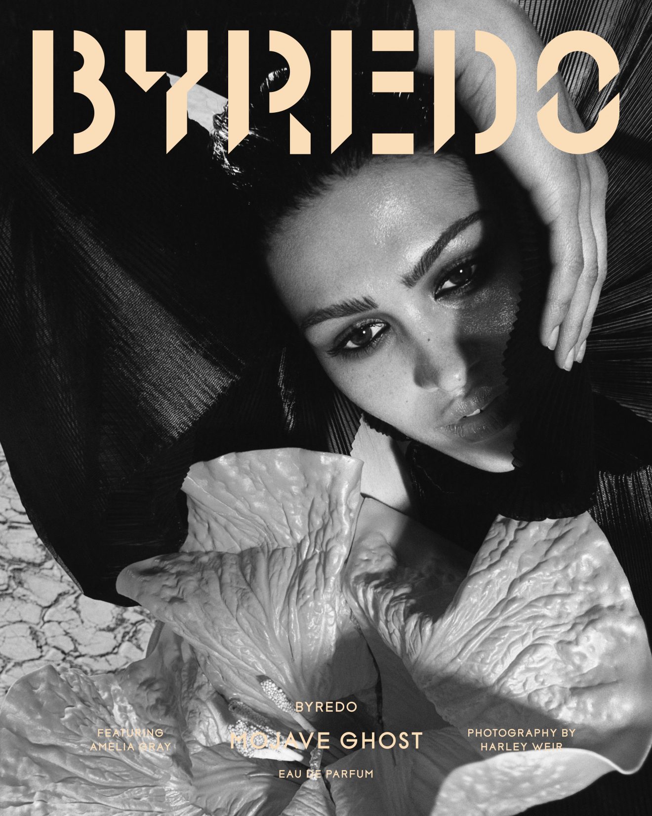 Byredo 莫哈維之影 第二章_形象圖02