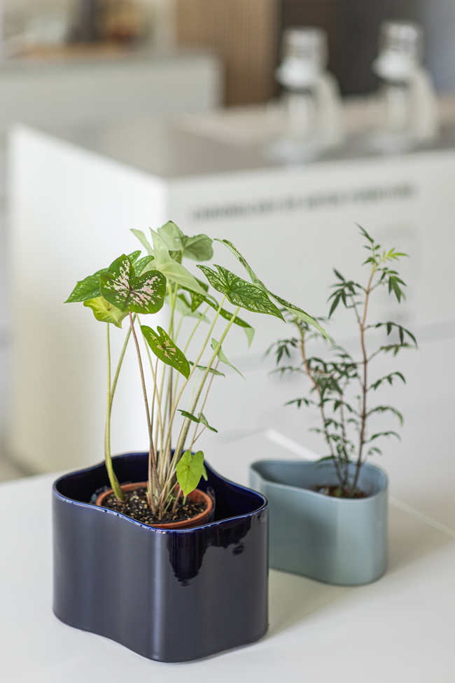 04_Artek Space_Riihitie Plant_Aino Aalto 為其在赫爾辛基 Riihitie 街上住所設計的花器，在 1937 年巴黎世界博覽會上首度公開亮相時尚未量產，時至今日，Artek 終於將這件波浪曲線的有機花器正式推出