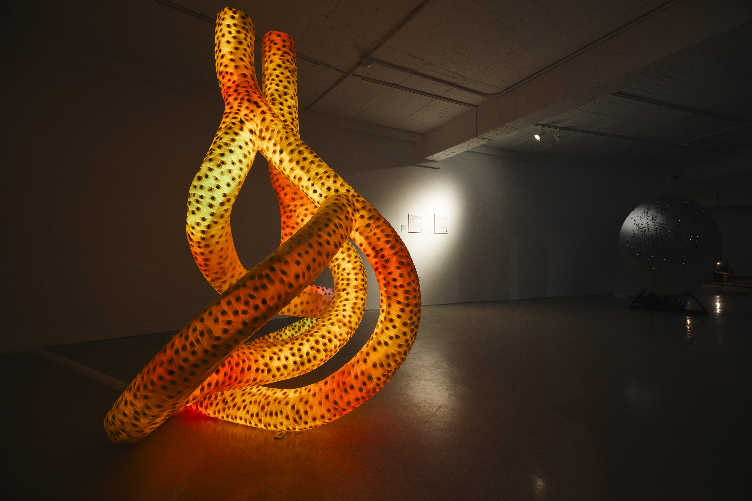 蘇詠寶〈達摩克利斯種子（流動）〉，2024。千層紙、樹脂、LED燈。140 x 140 x 190 cm（L x W x H）。