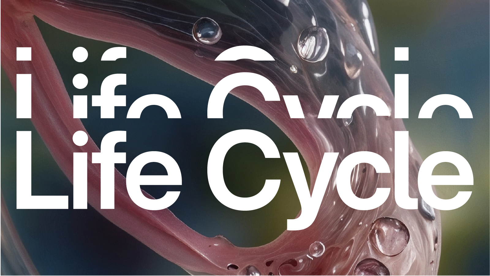 Hero_image_for_Life_Cycle