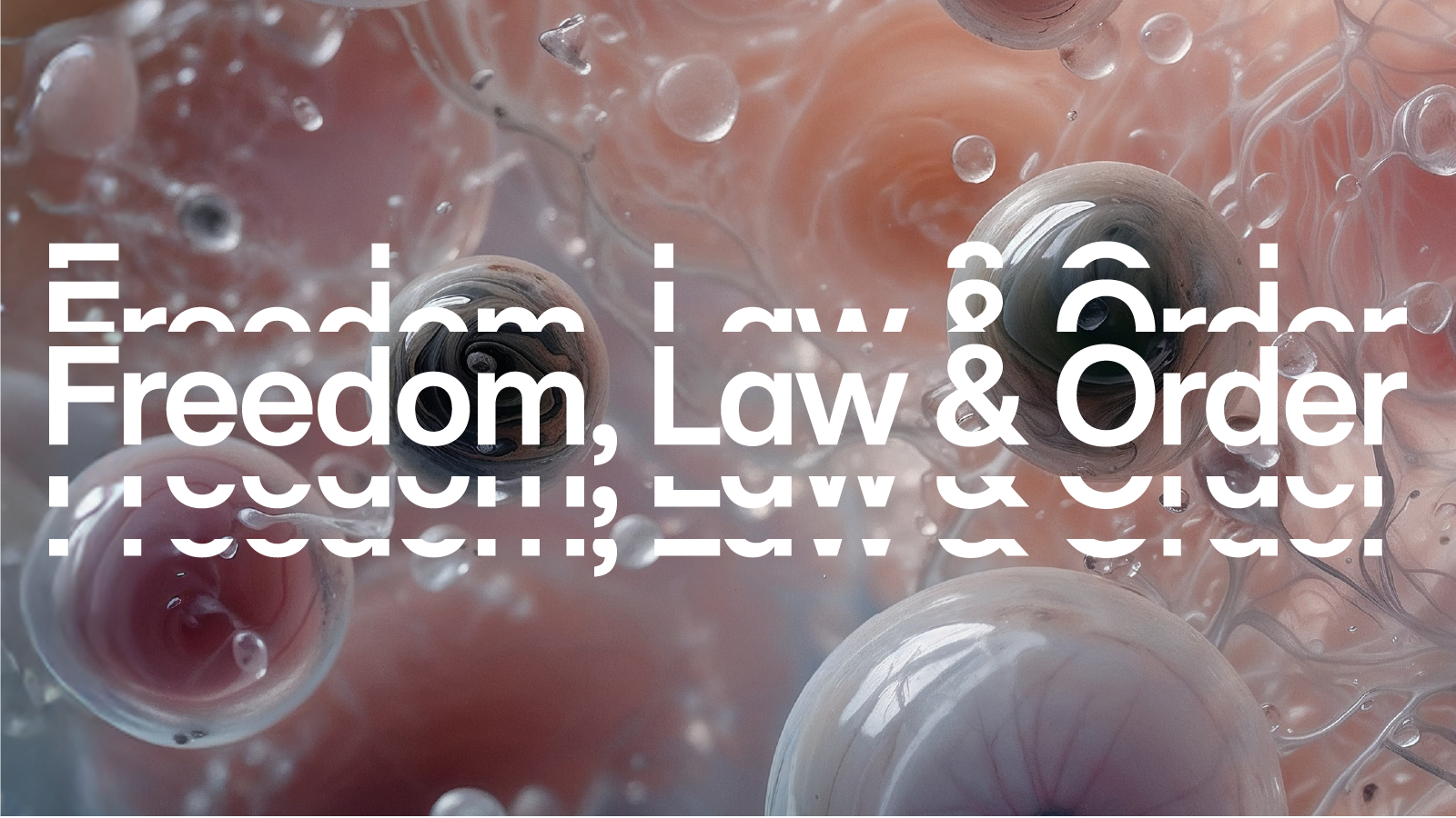 Hero_image_for_web_Freedom_Law_Order