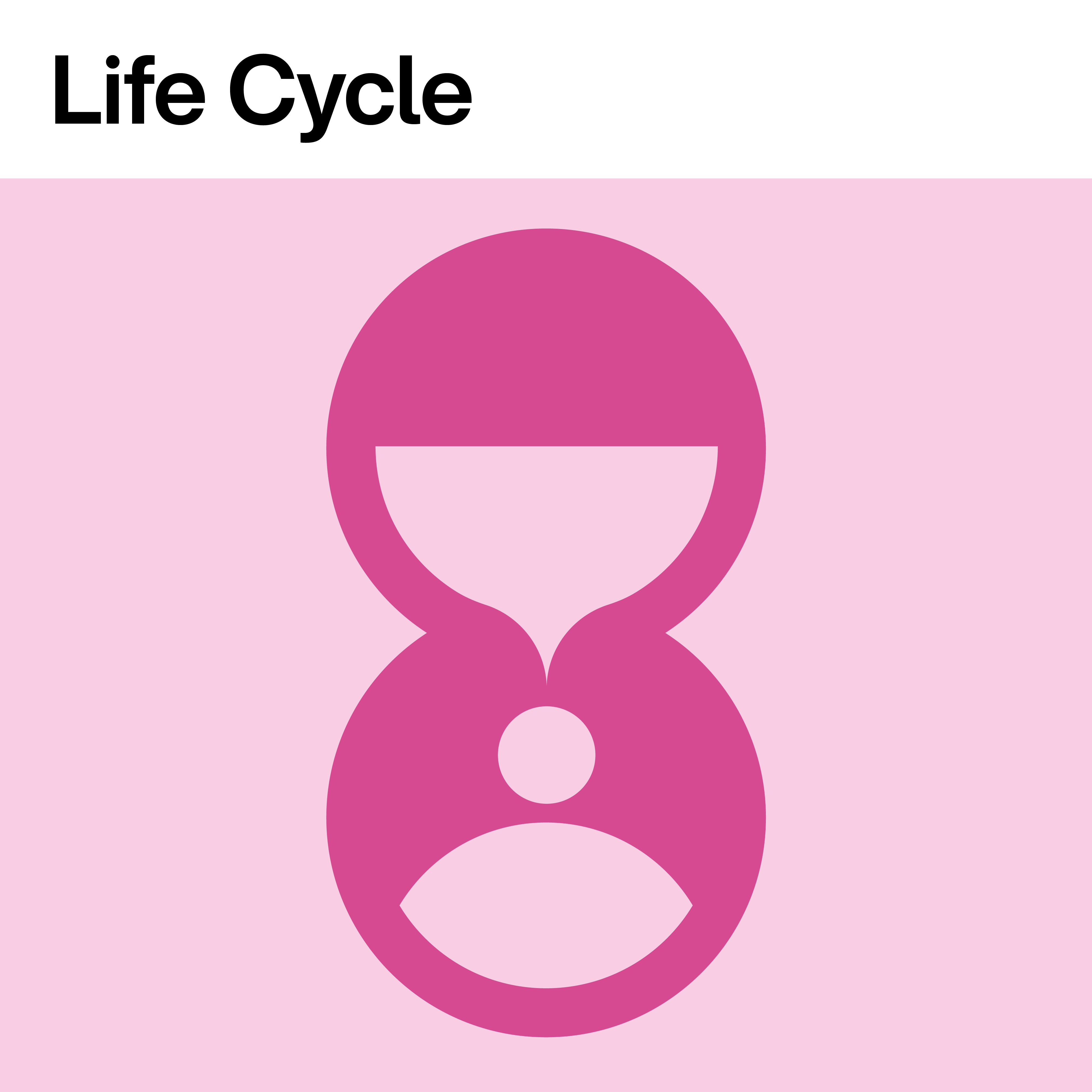 Life Cycle Teaser