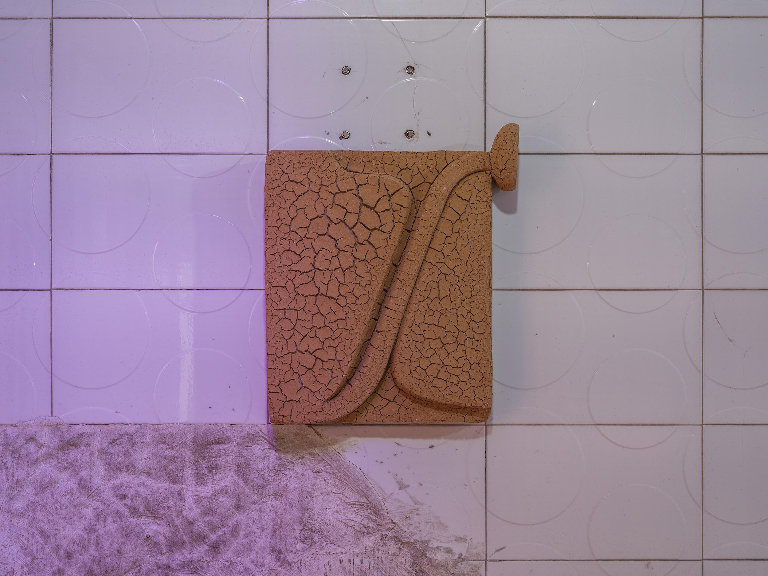 Luo Jr-Shin, “Tomato Seeds Pass Through the Body and Germinate”, 2024, Fired sewage sludge, volcanic clay, acrylic medium, gauze, fiberglass, resin, pigment, approx. 40 x 49 x 6 cm (x12pcs), Commissioned by the 7