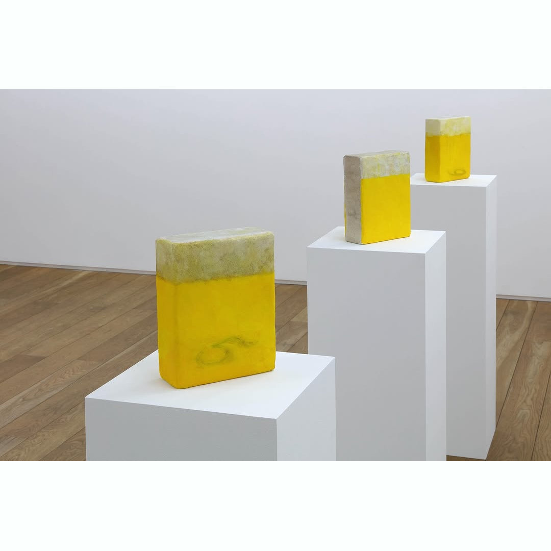 20. Heavy Book, Miwa Mitsuko, 2024, Capsule Gallery_結果