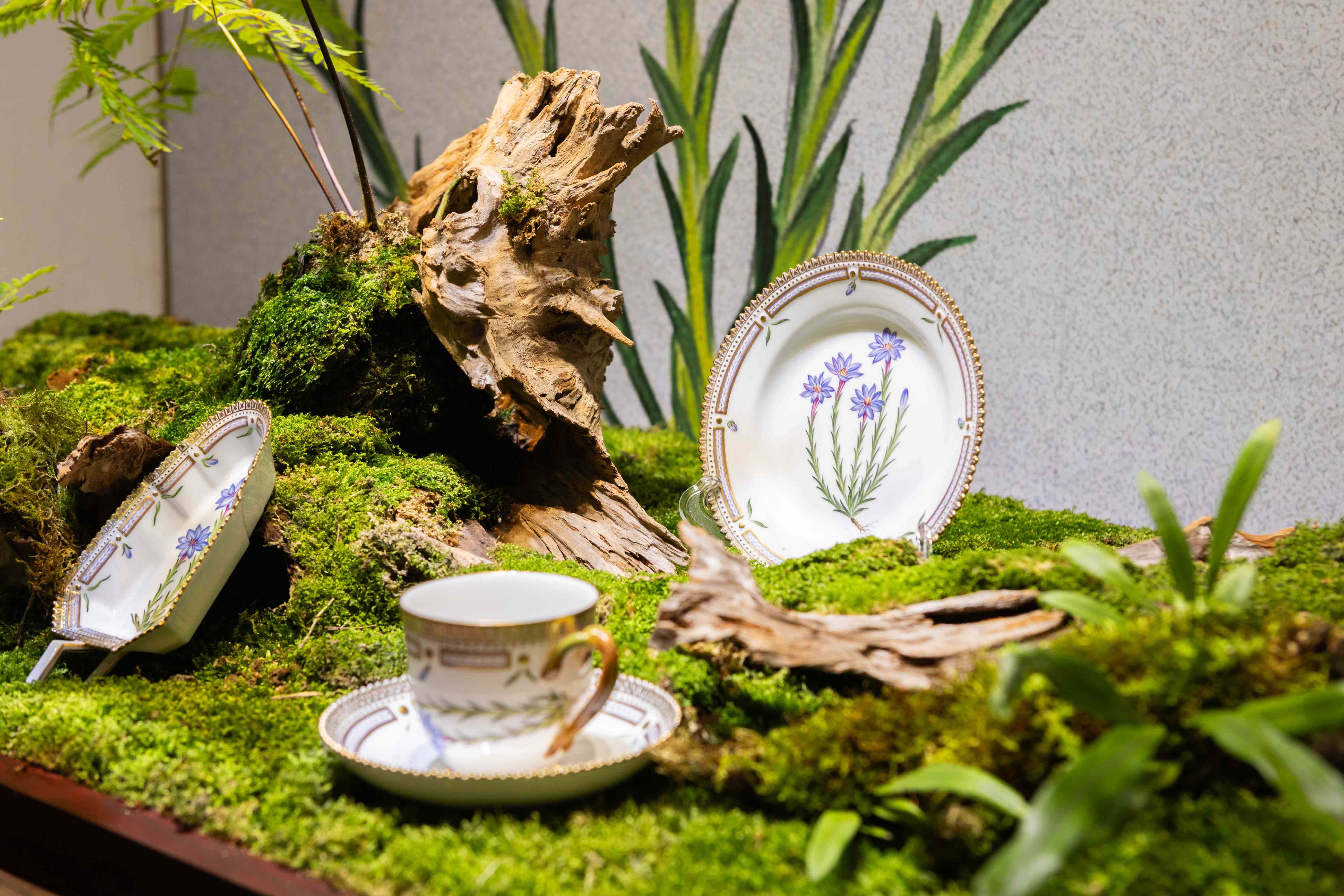 5. 丹麥之花台灣百岳系列 中央山脈龍膽