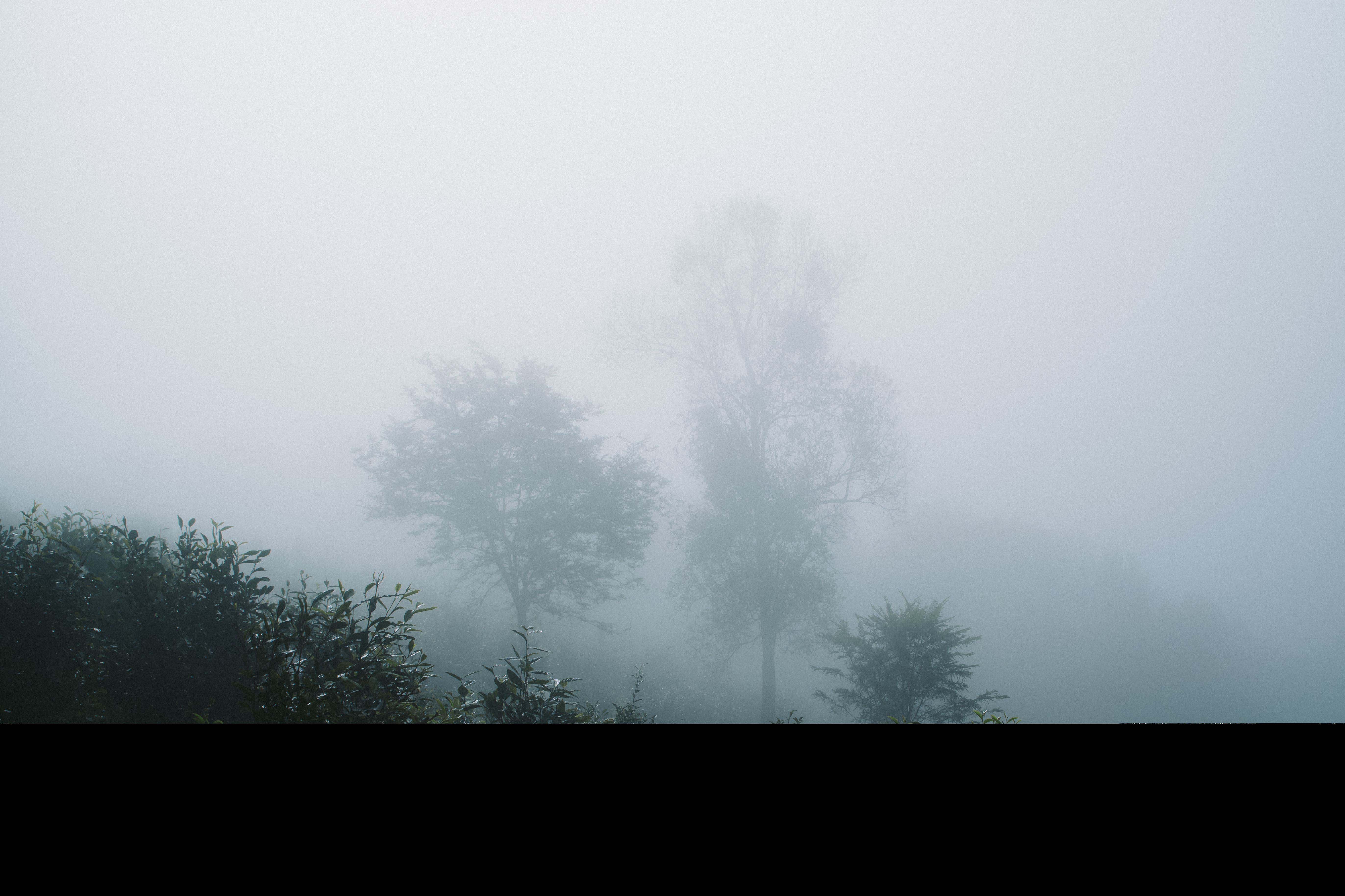 Digital