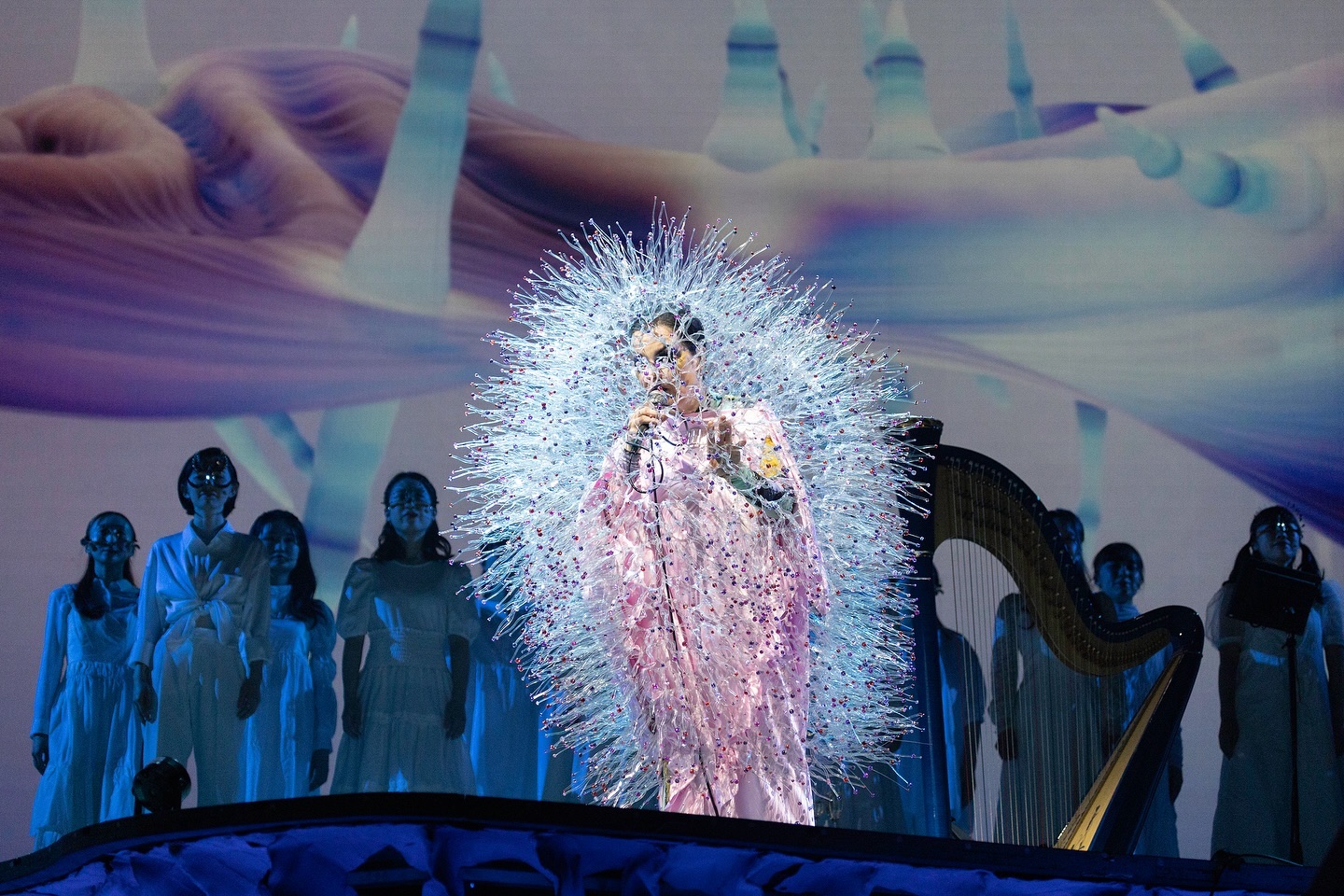 bjork_1728385810_3474274444945667734_387439645