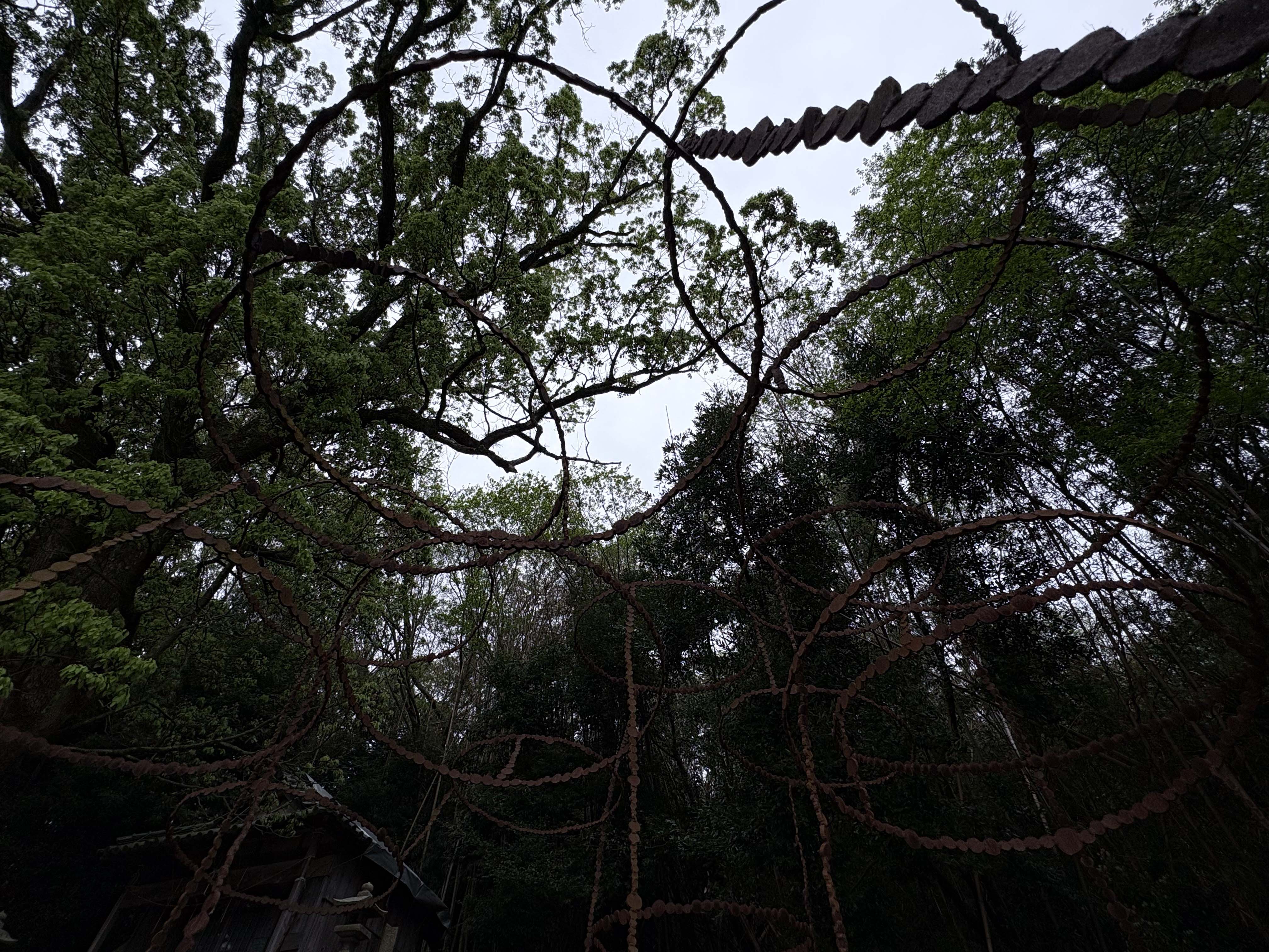 豐島藝術裝置