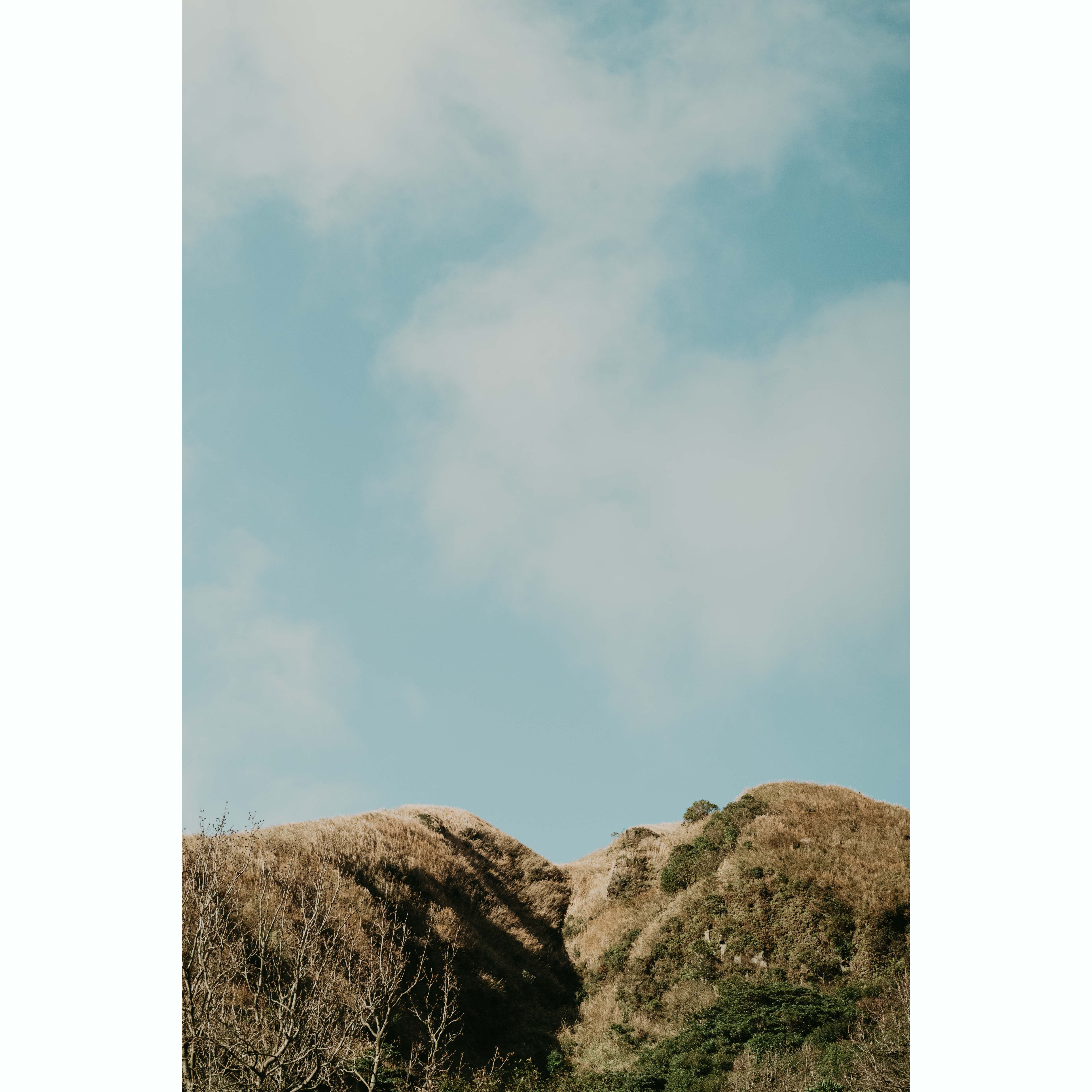 陽明山-1_結果