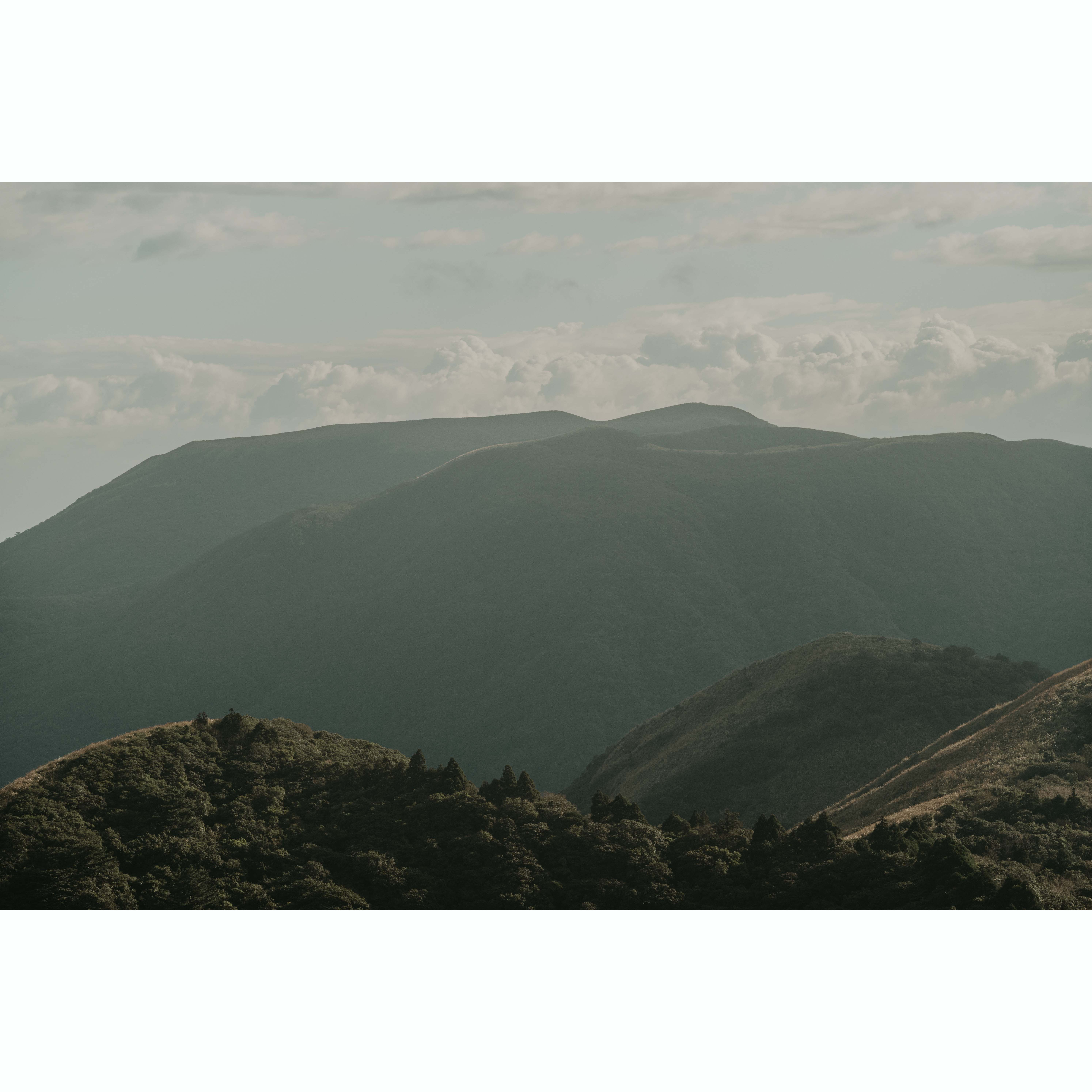 陽明山-3_結果