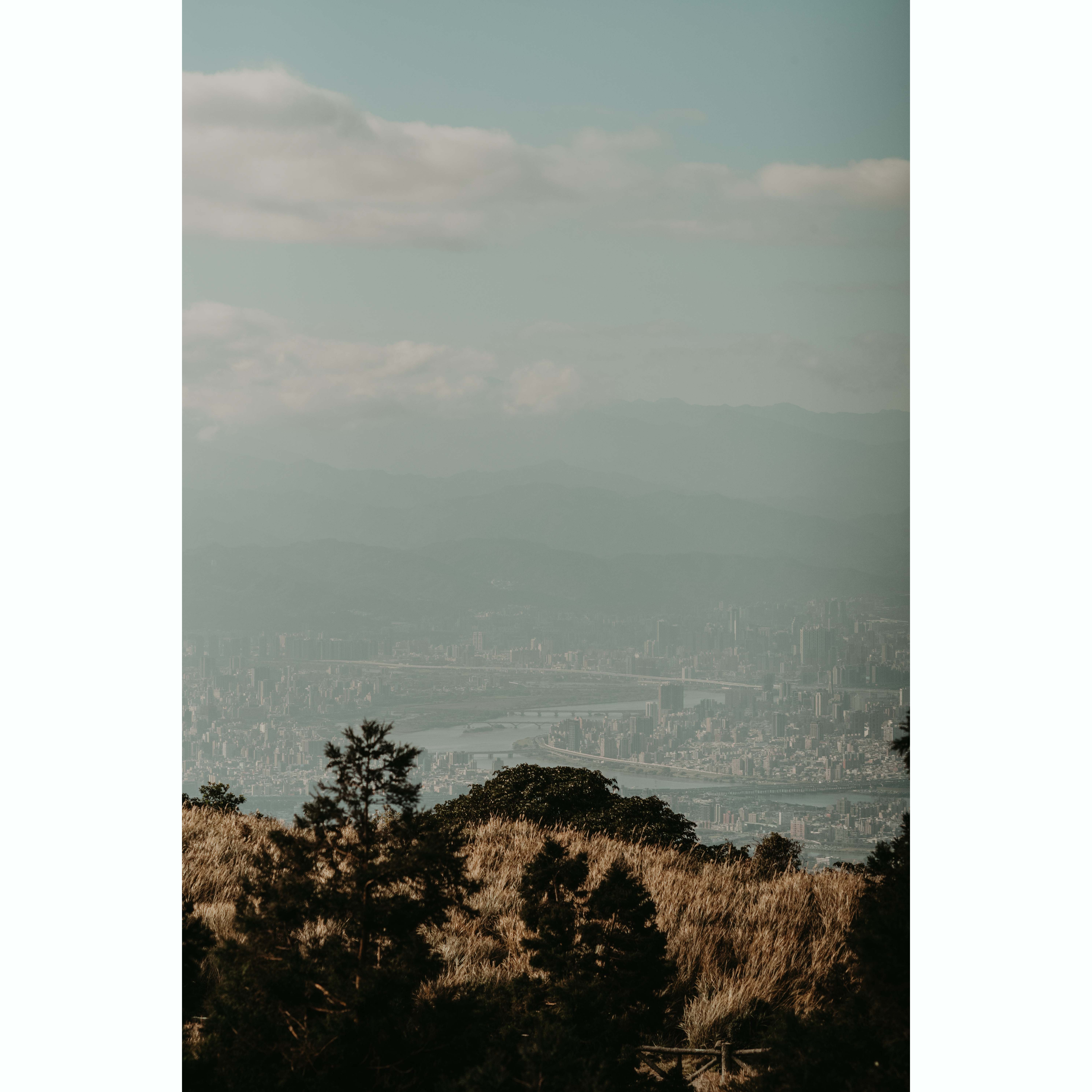 陽明山-5_結果