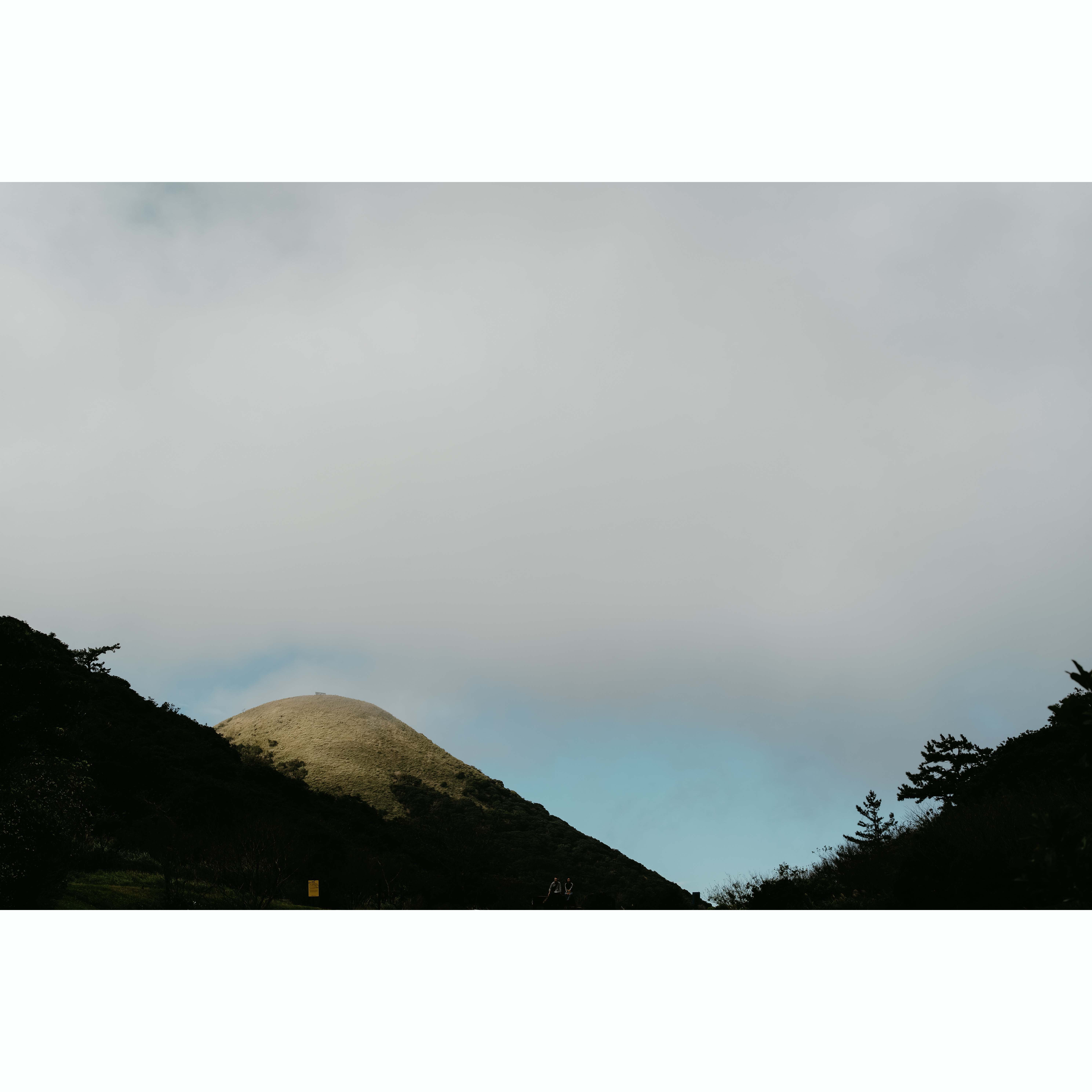 陽明山-6_結果