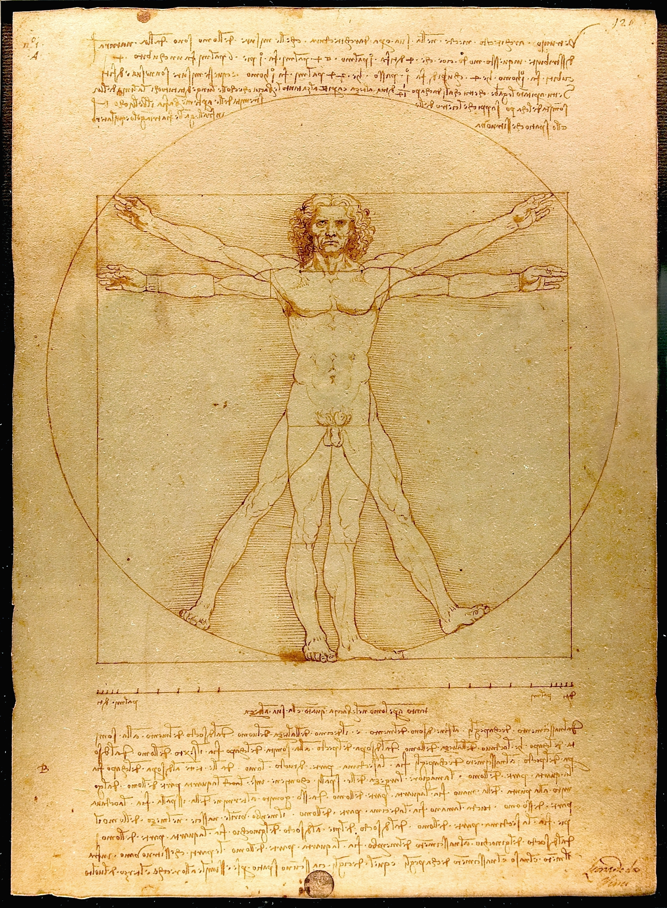 Vitruvian Man, Leonardo da Vinci, 1492, Wikipedia
