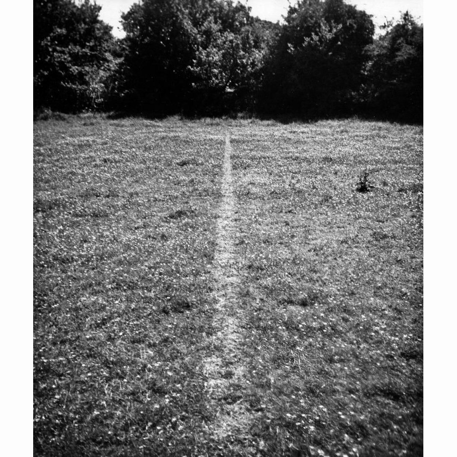 15. A Line Made by Walking_Richard Long_1967_結果