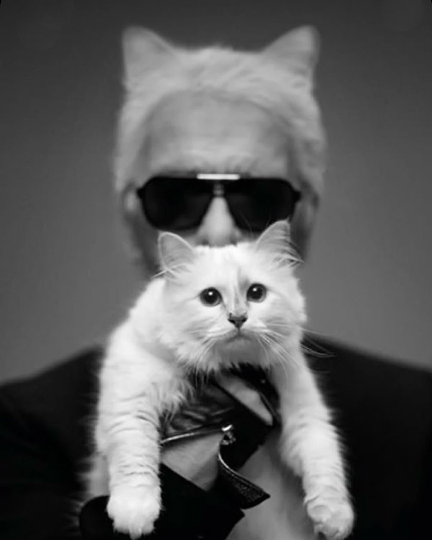 choupetteofficiel_1694337812_3188659141437971062_18307816334