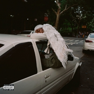 7. Negro Swan Album Cover