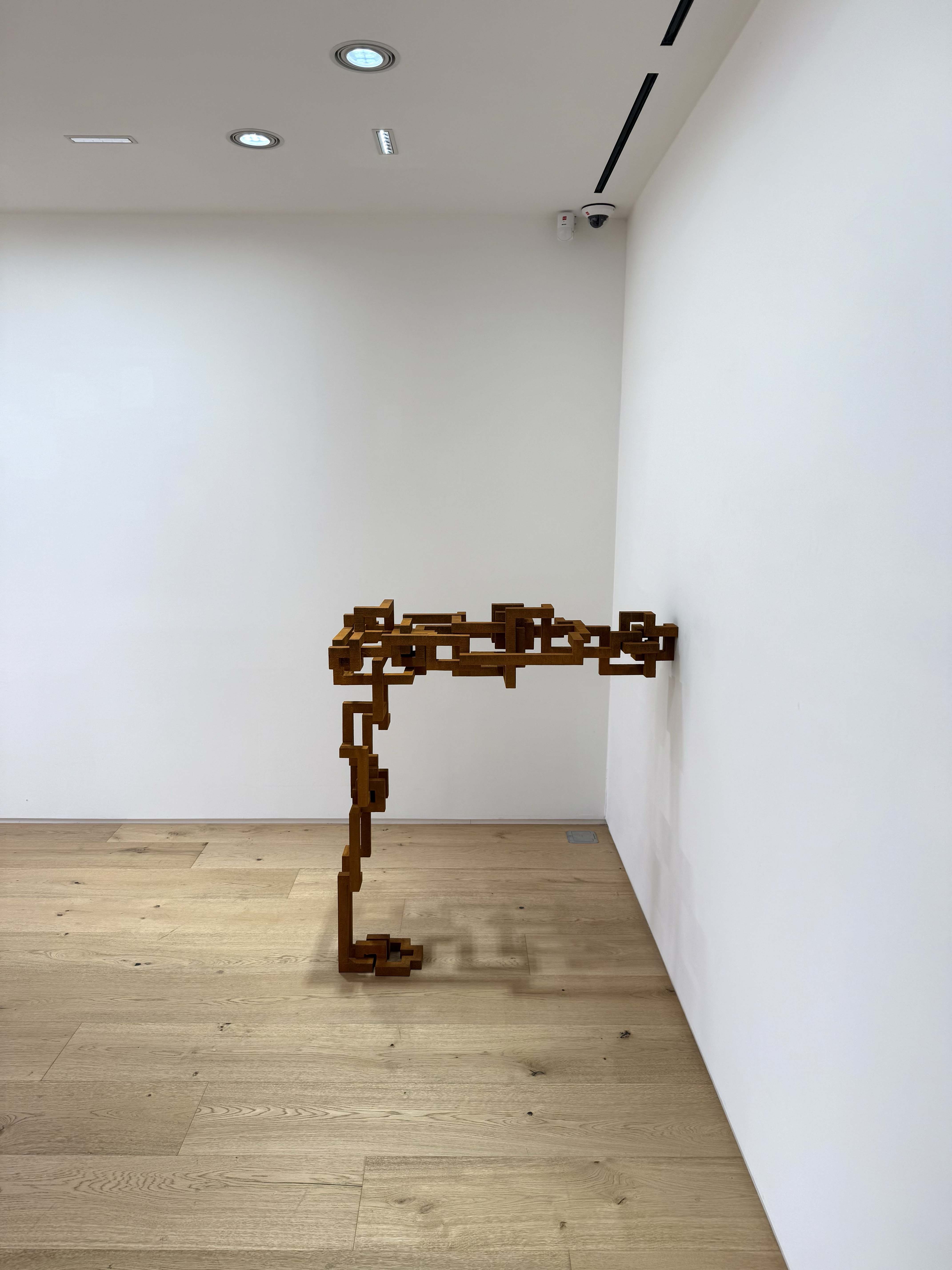 Antony Gormley INEXTRICABLE at Thaddaeus Ropac