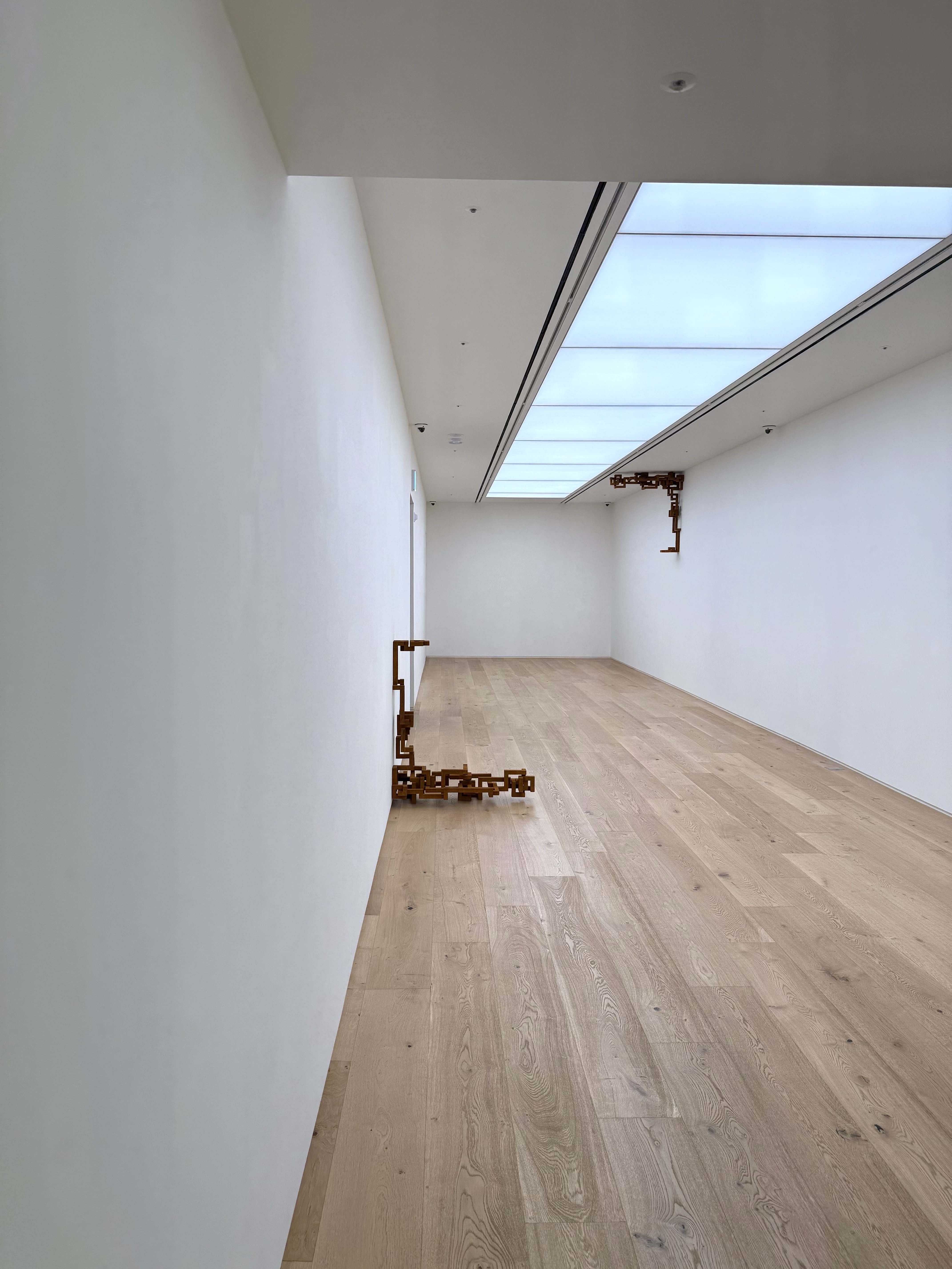 Antony Gormley INEXTRICABLE at Thaddaeus Ropac