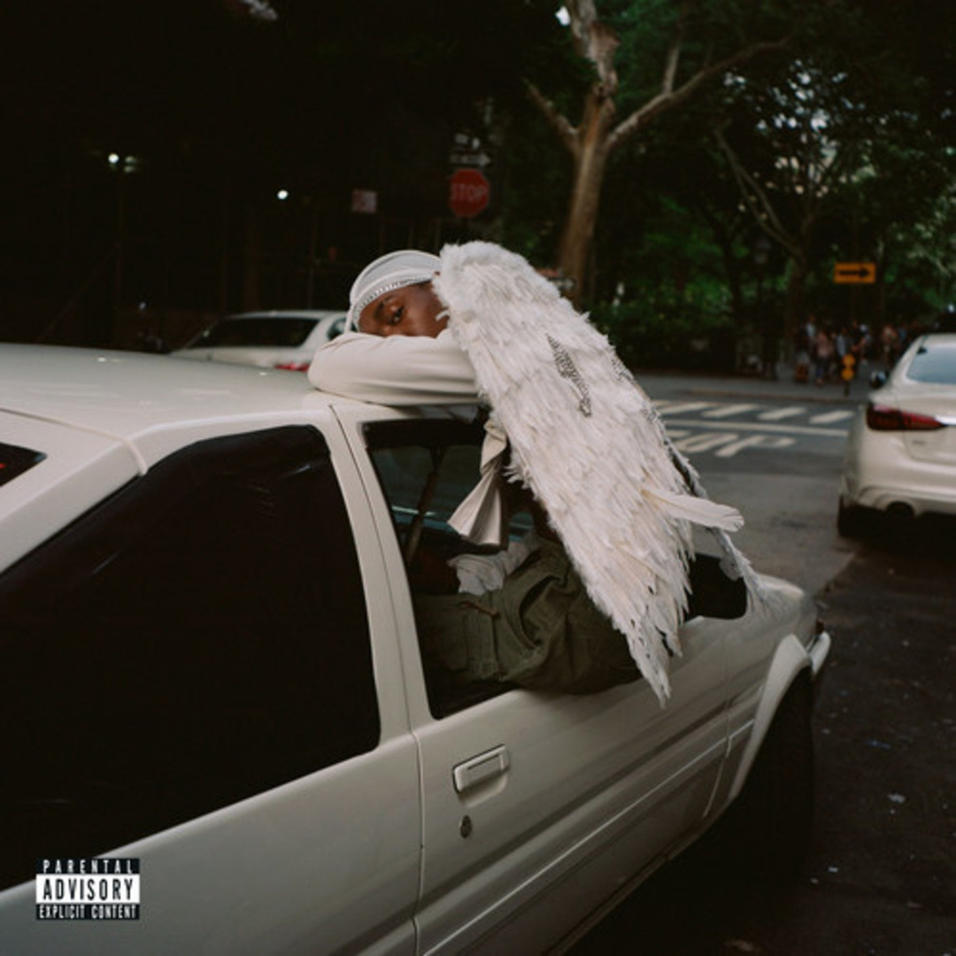 domino-blood-orange-negro-swan-2lp_結果