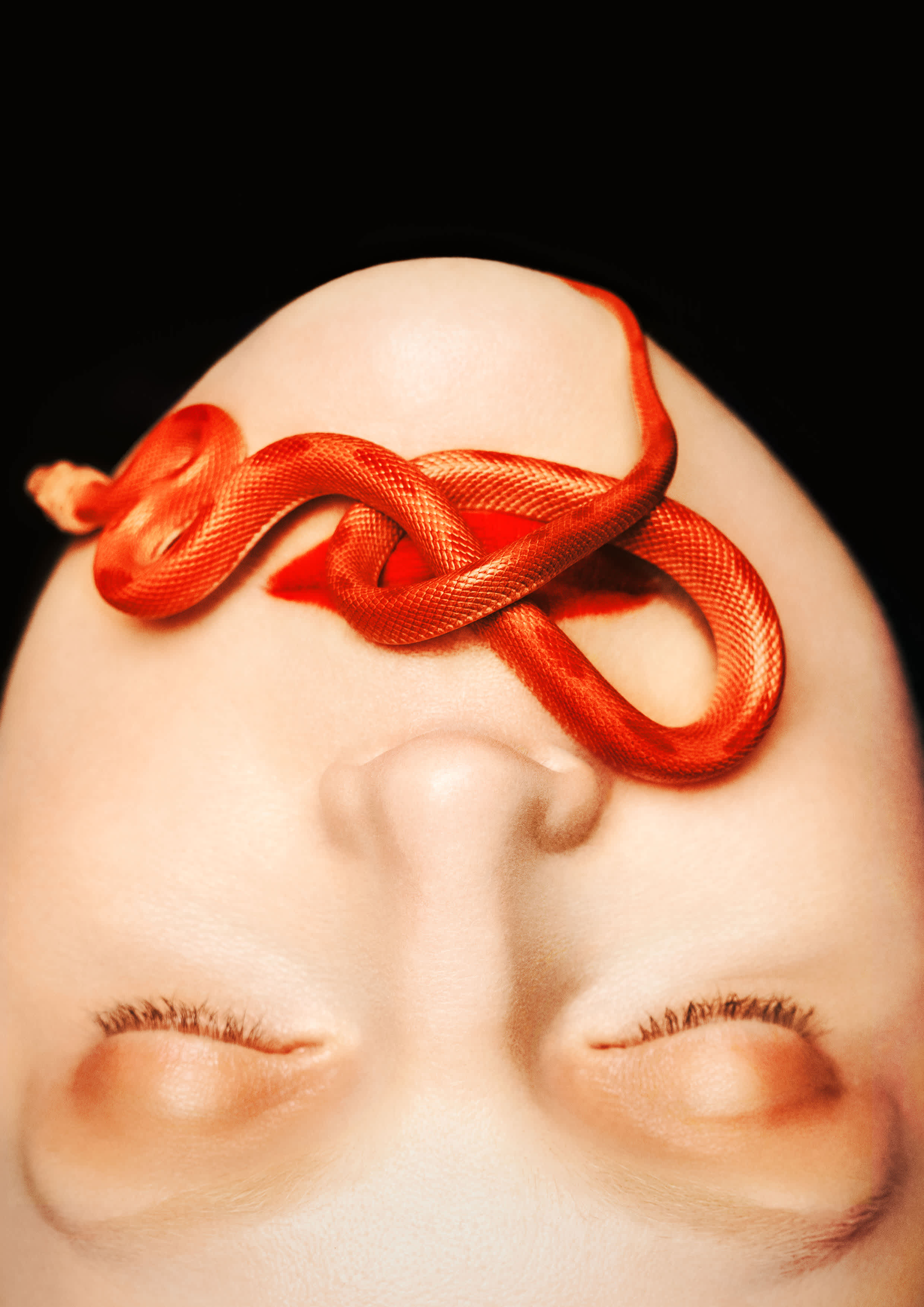 © Zhong Lin BYREDO 夜幕系列Clean EN_2480x3508