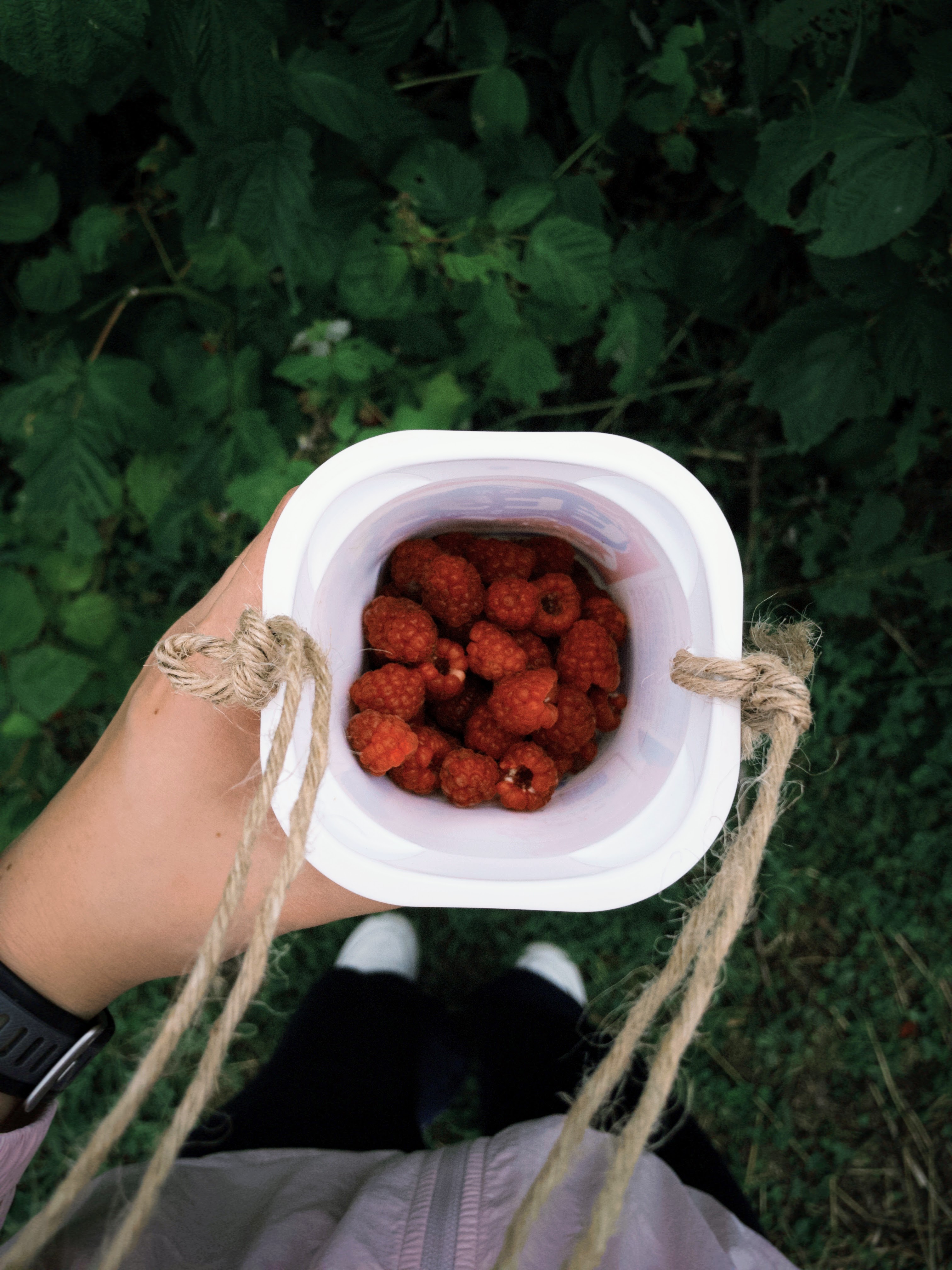 fxn 2025-07-30 122352.306