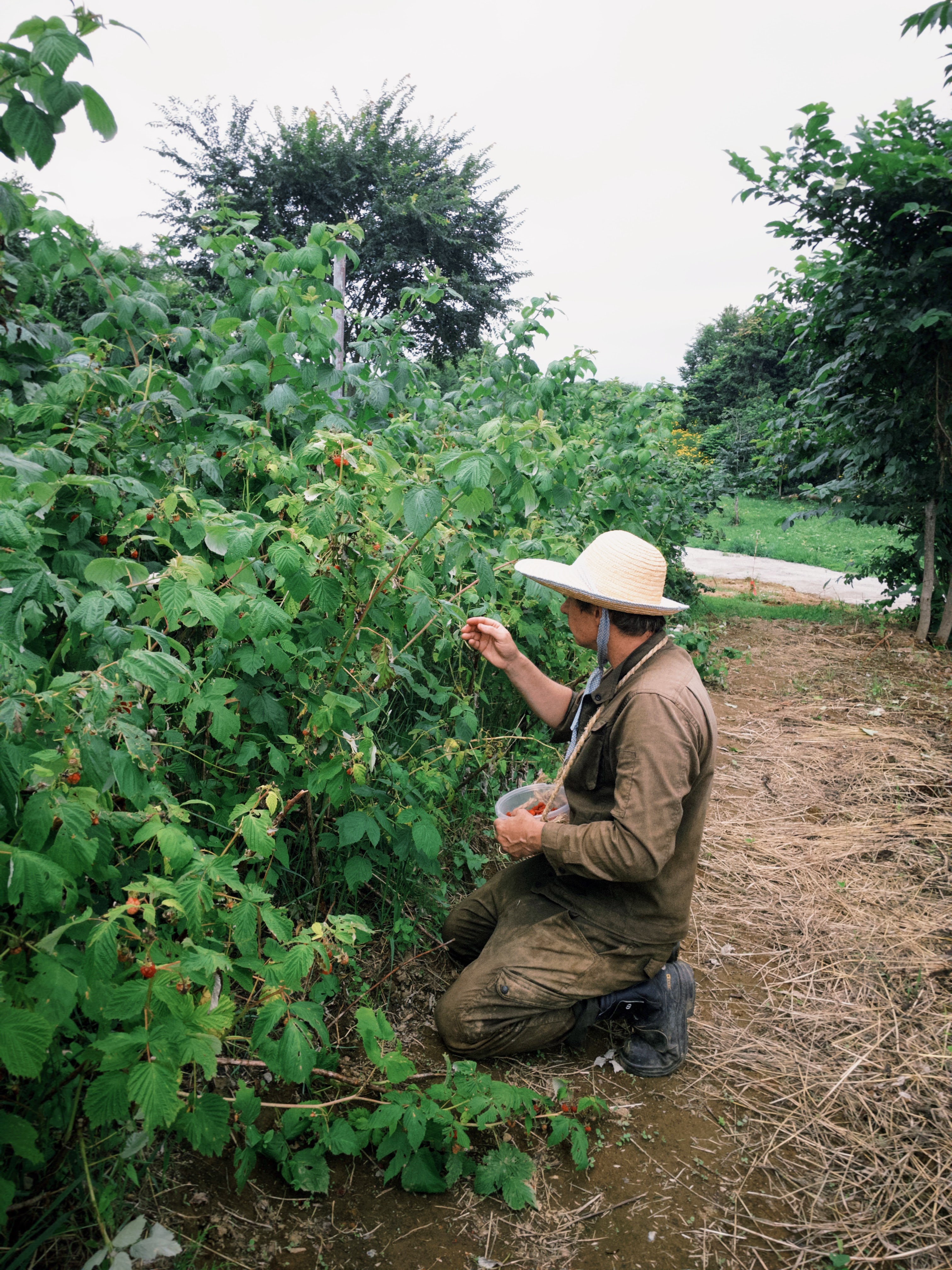 fxn 2025-07-30 123822.234