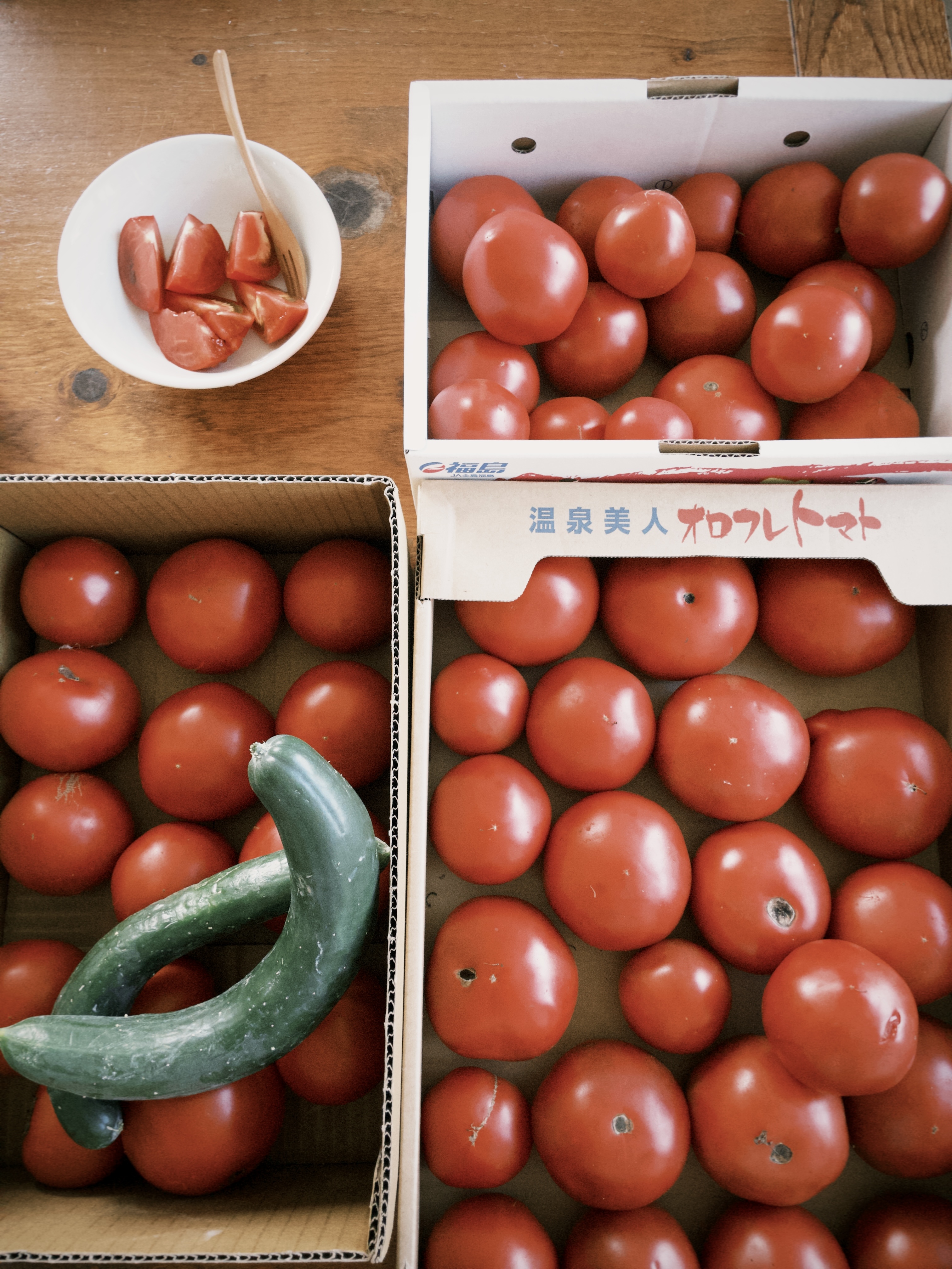 fxn 2025-08-01 152805.618