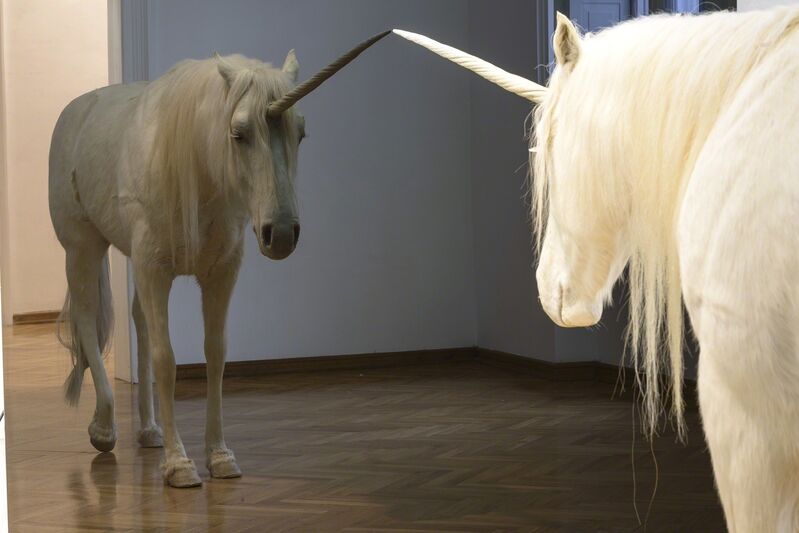 獨角獸：一面映照慾望與焦慮的鏡像，見證神話的破滅與重生