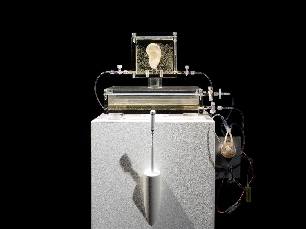 14. Sugababe_Diemet Strebe_2014