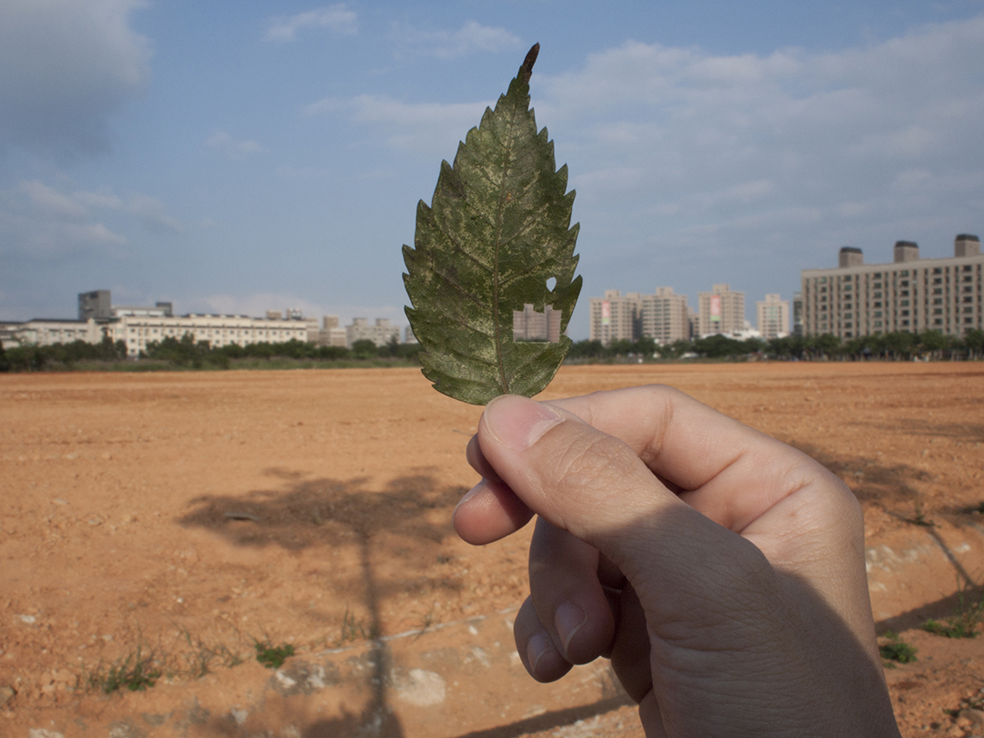 王雅慧,《葉洞》,2011,微噴輸出於半光面相紙,37.5 × 50公分(×6)。臺北市立美術館典藏。