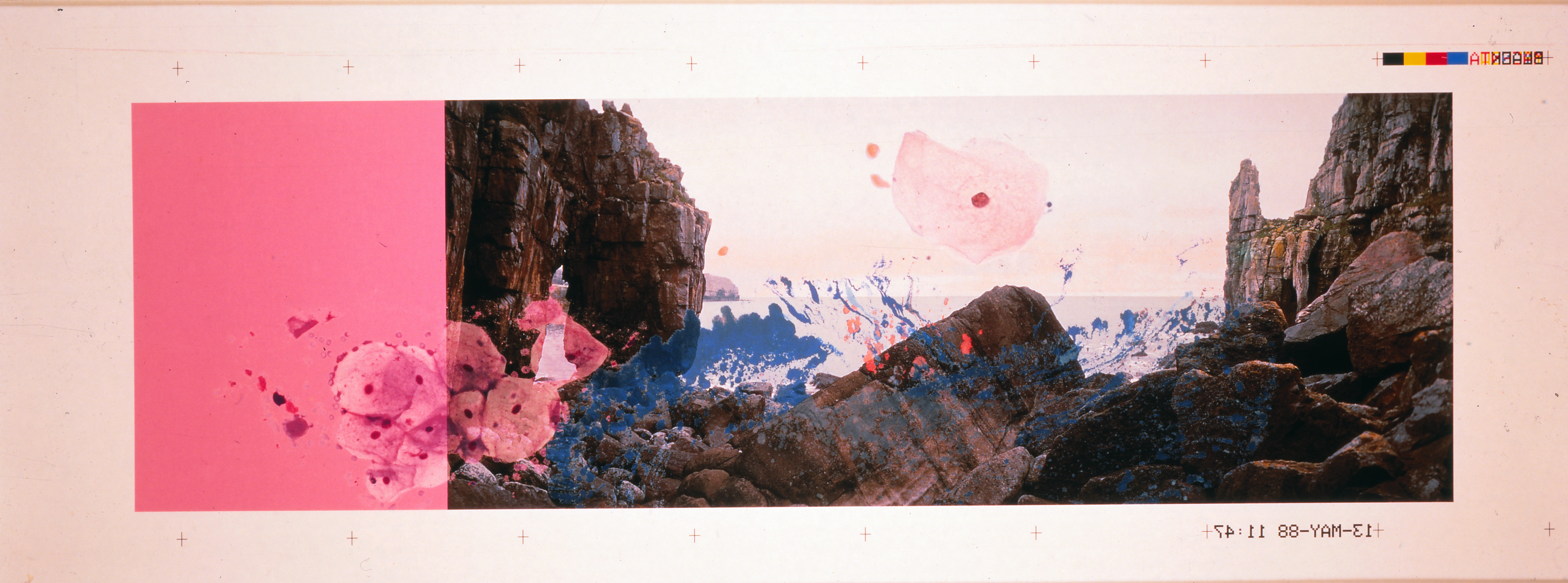 4. Viral Landscape No. 1_HelenChadwick_1989_Modern Art Oxford