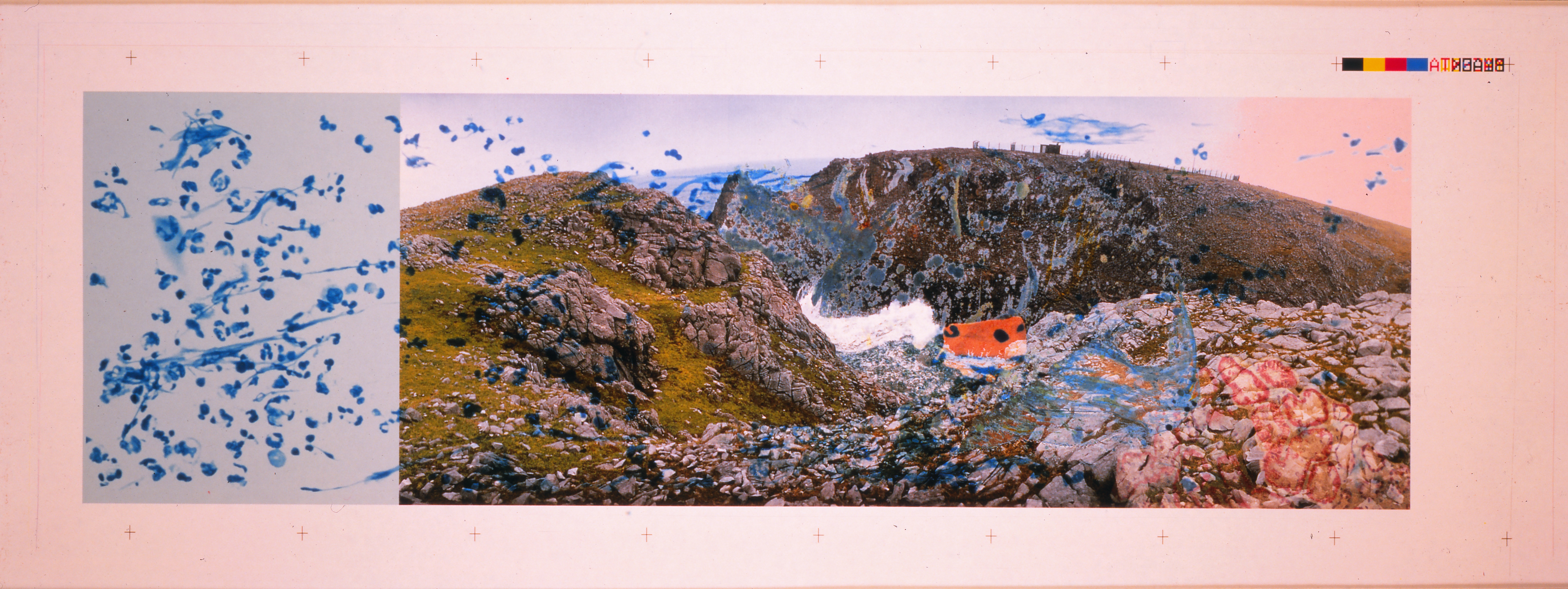 6. Viral Landscape No. 5_HelenChadwick_1989_Modern Art Oxford