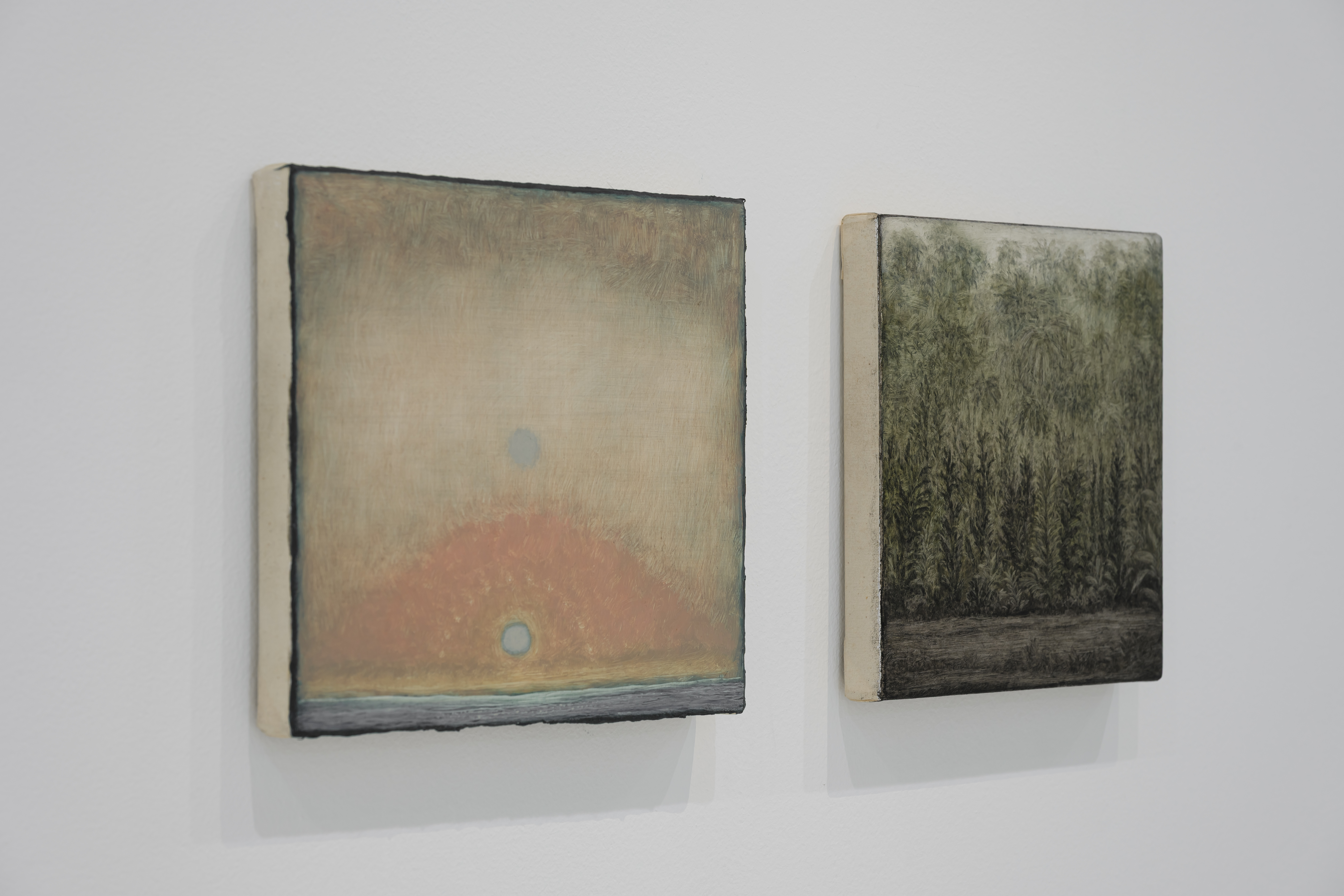 Left_ Untitled (from the Deserto-Modelo series), 2024_ Right_ Untitled (from the Deserto-Modelo series), 2023