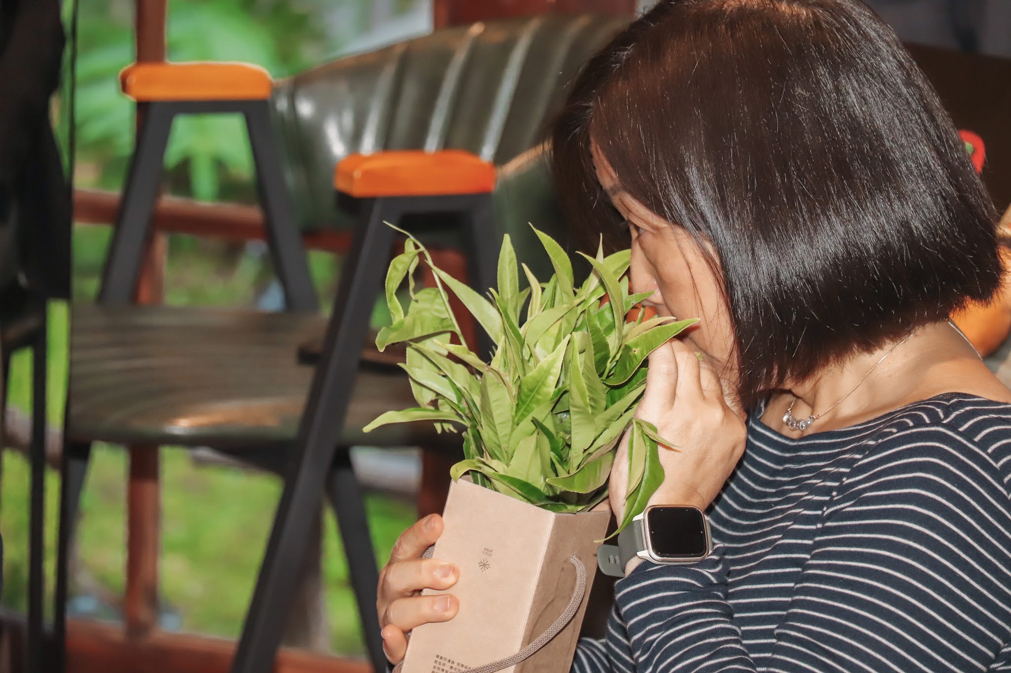 茗茗康普茶香檳 創辦人 陳宥希：《一口康普茶，記下台灣山林的氣息-山蘊計畫》