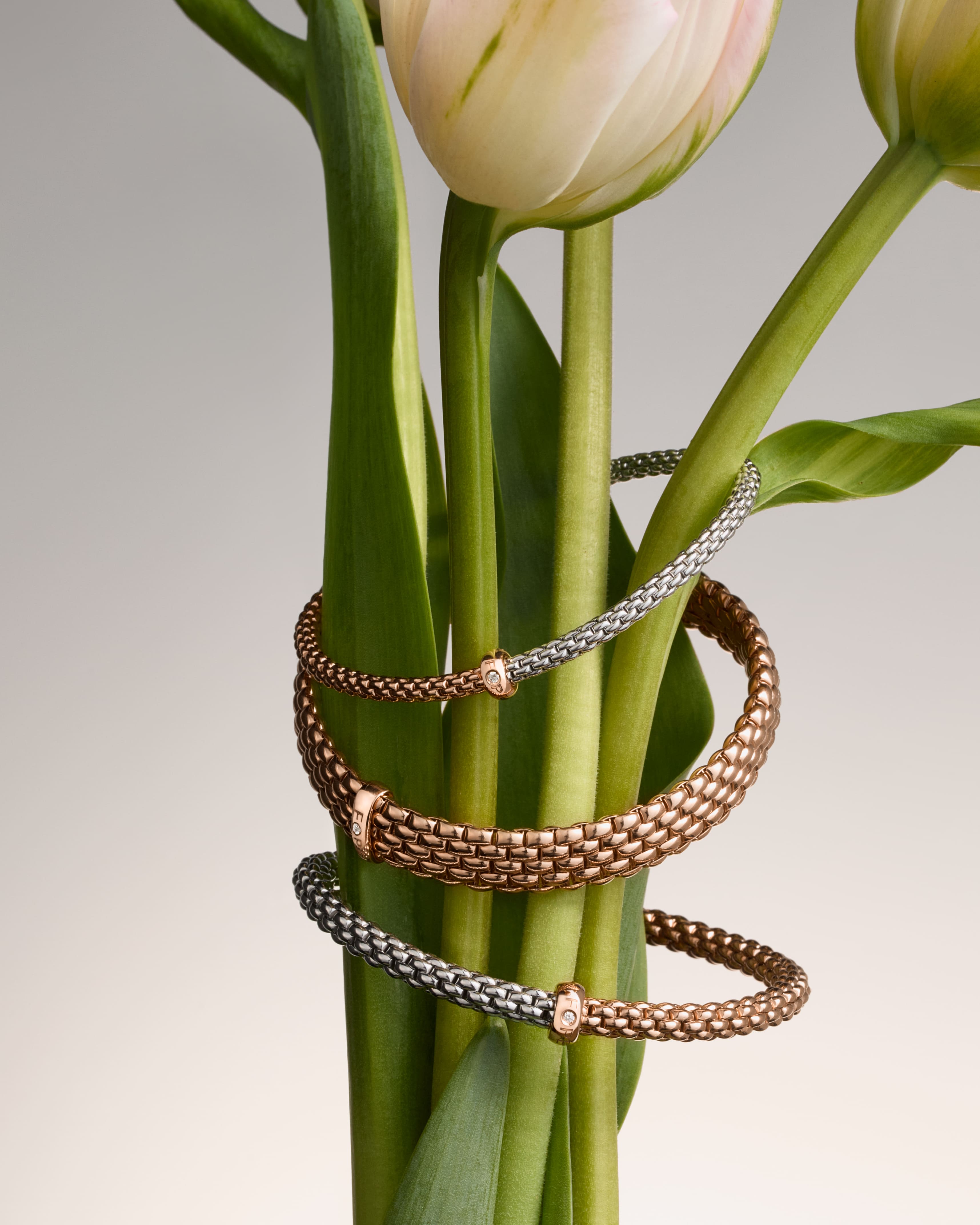 01_FOPE MUST HAVE Collection產品情境圖