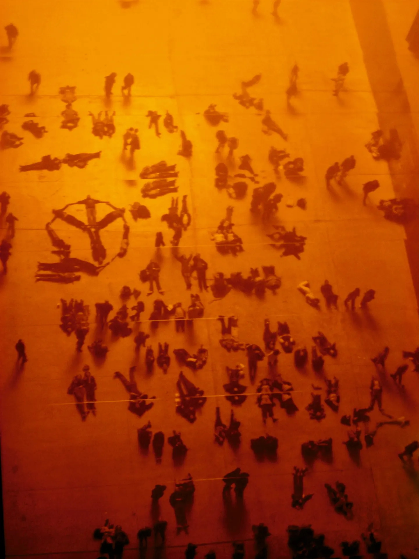 下載 - 2026-02-22T220159.842